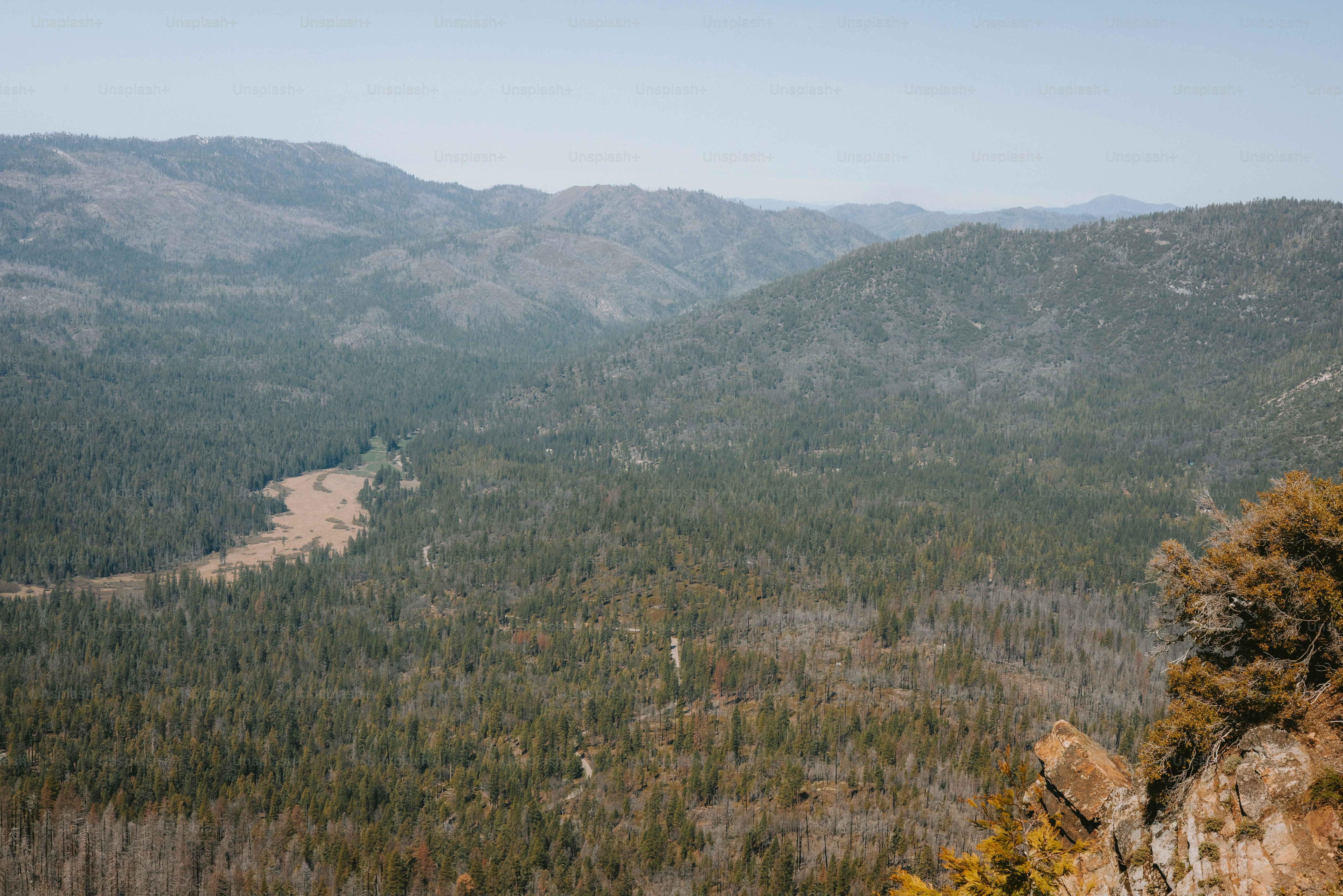 premium_photo-1744874936307-fc04279cf31c?ixid=M3wxMjA3fDB8MXxzZWFyY2h8MTd8fGZvcmVzdCUyMG1vdW50YWluJTIwZmFybXMlMjBvZmZpY2lhbHxlbnwwfHx8fDE3Njc4MDM1MjJ8MA\u0026ixlib=rb-4.1.0