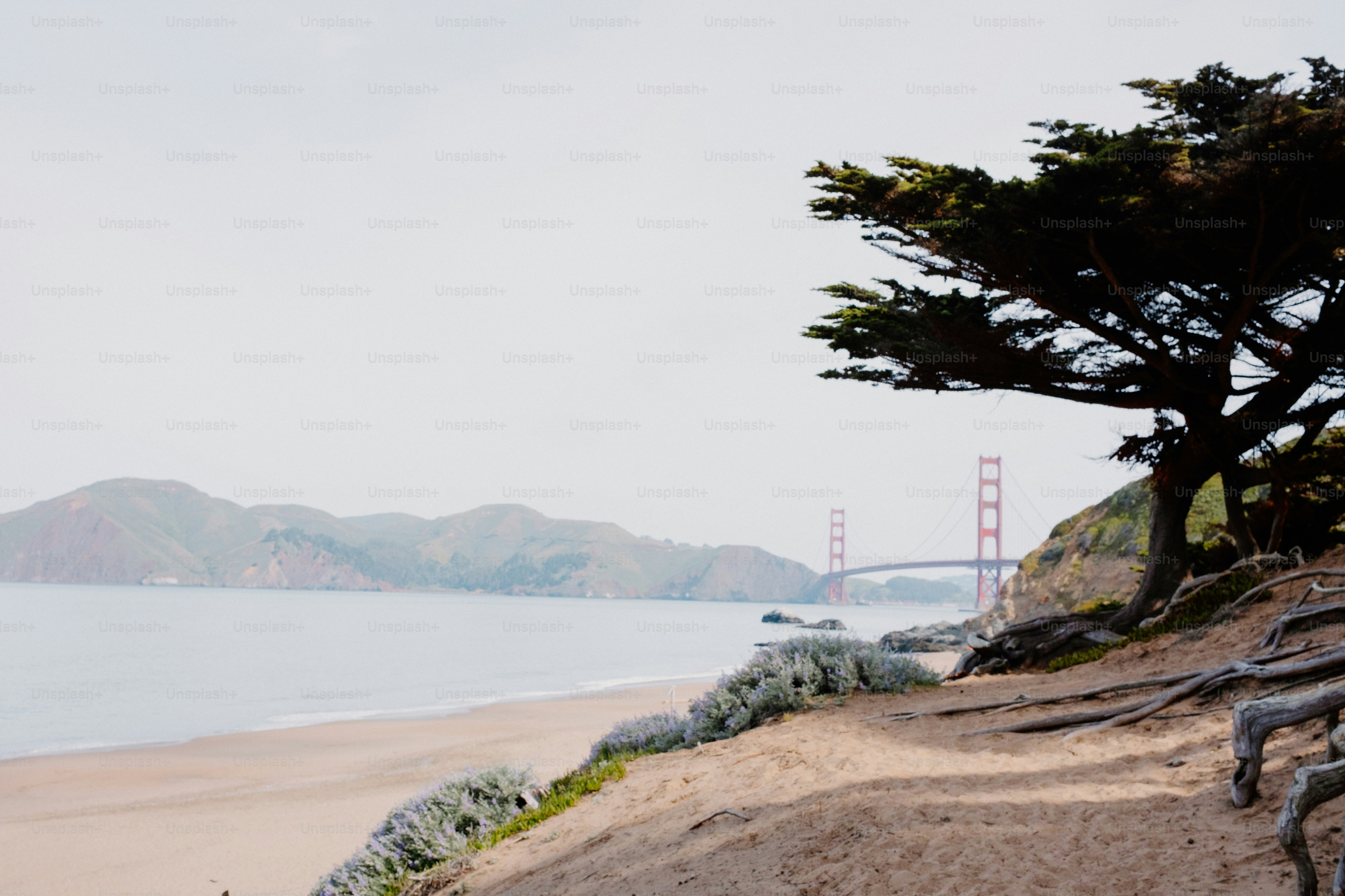 A scenic view of the golden gate bridge