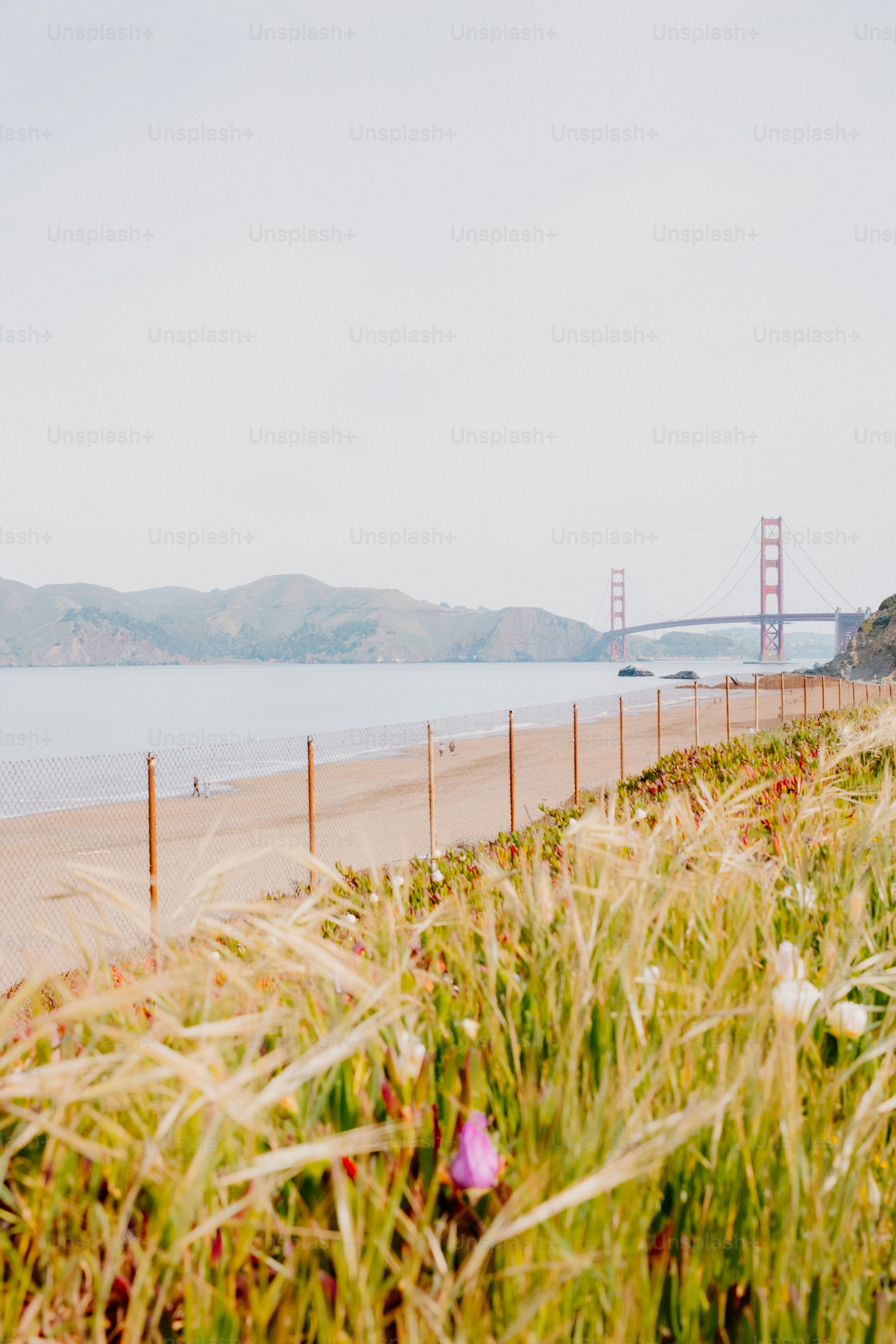 Golden gate bridge view over a beach