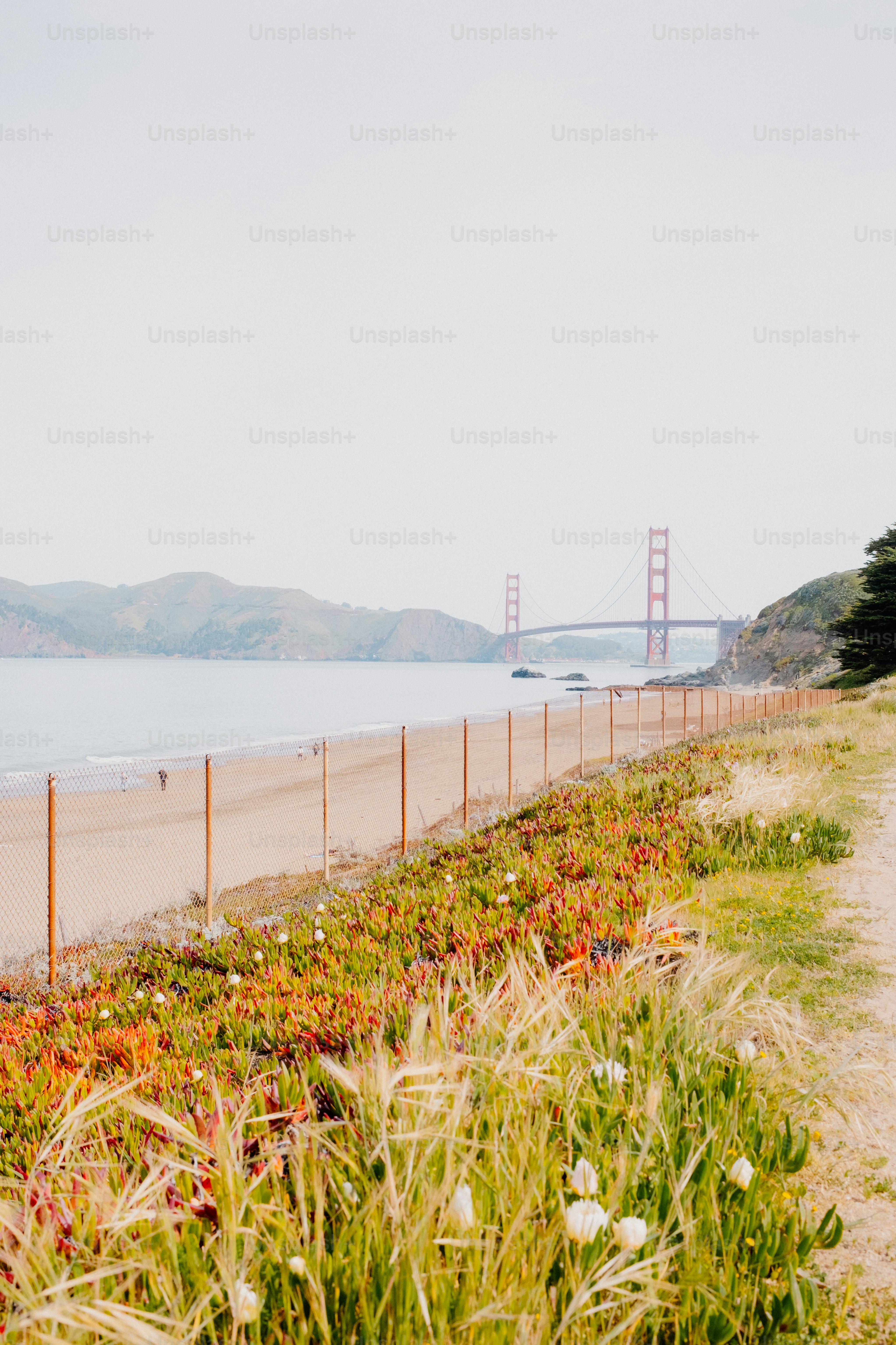 The golden gate bridge stretches over a beach