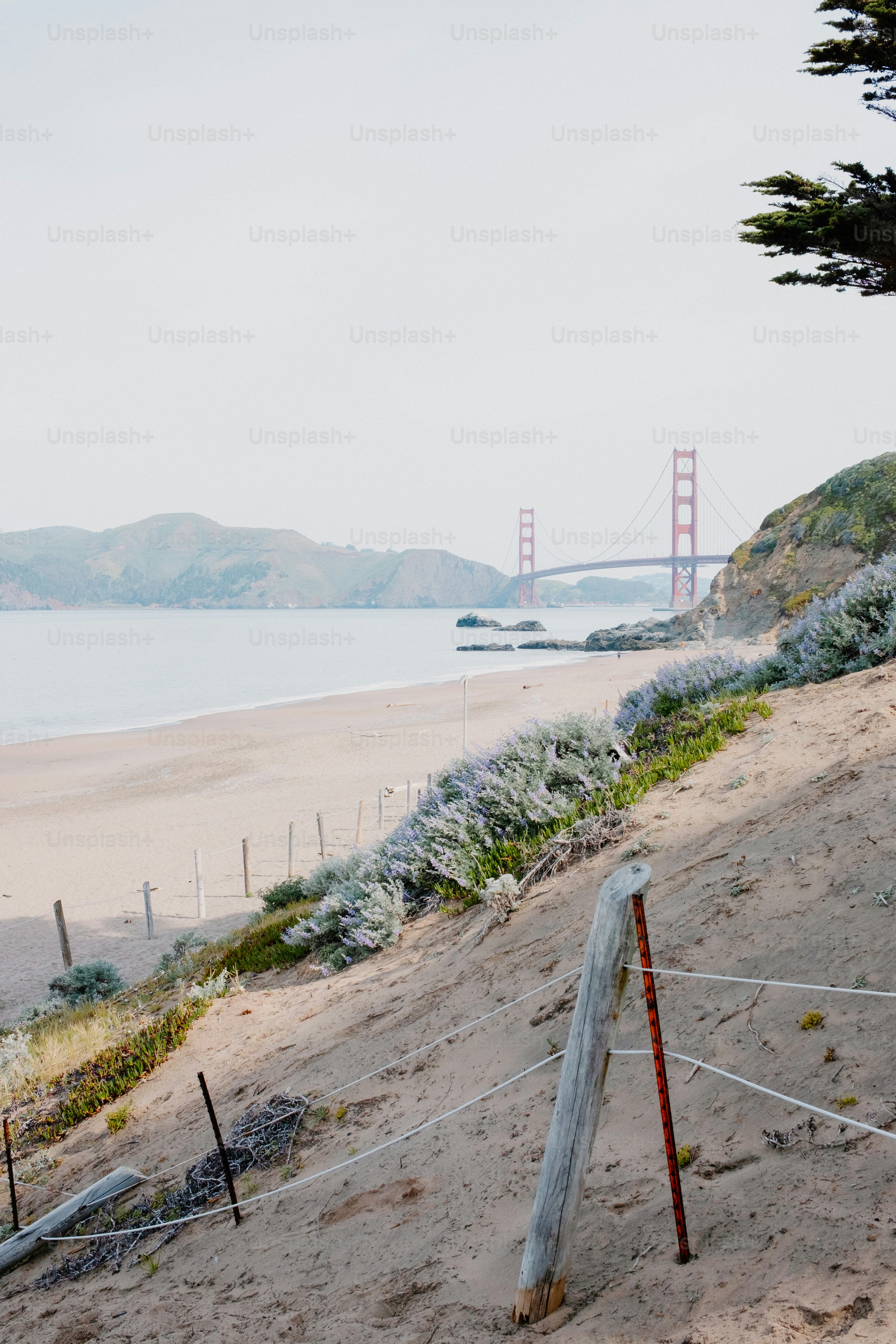 Golden gate bridge overlooks a serene beach