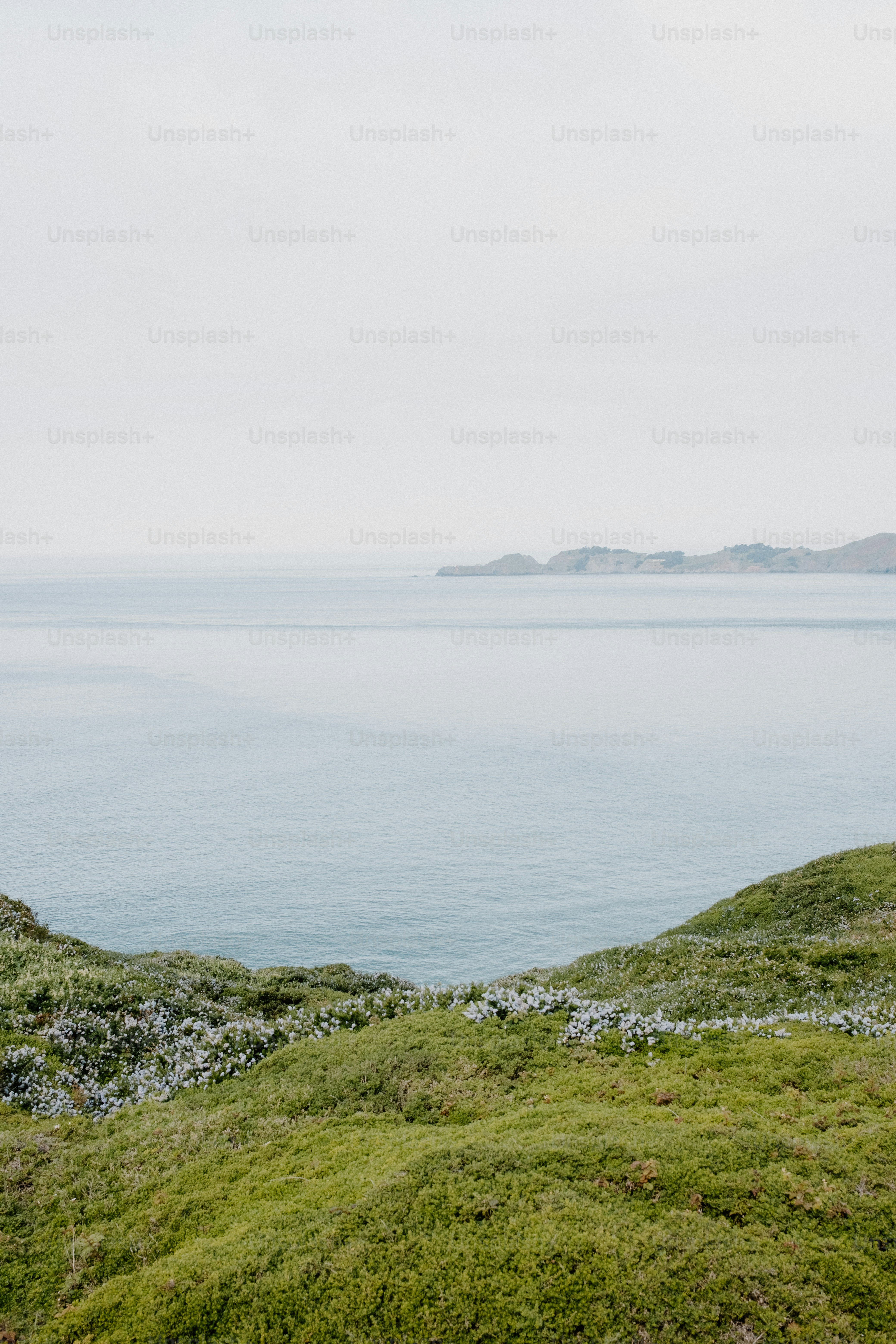 Grassy cliff overlooking the ocean under a gray sky.
