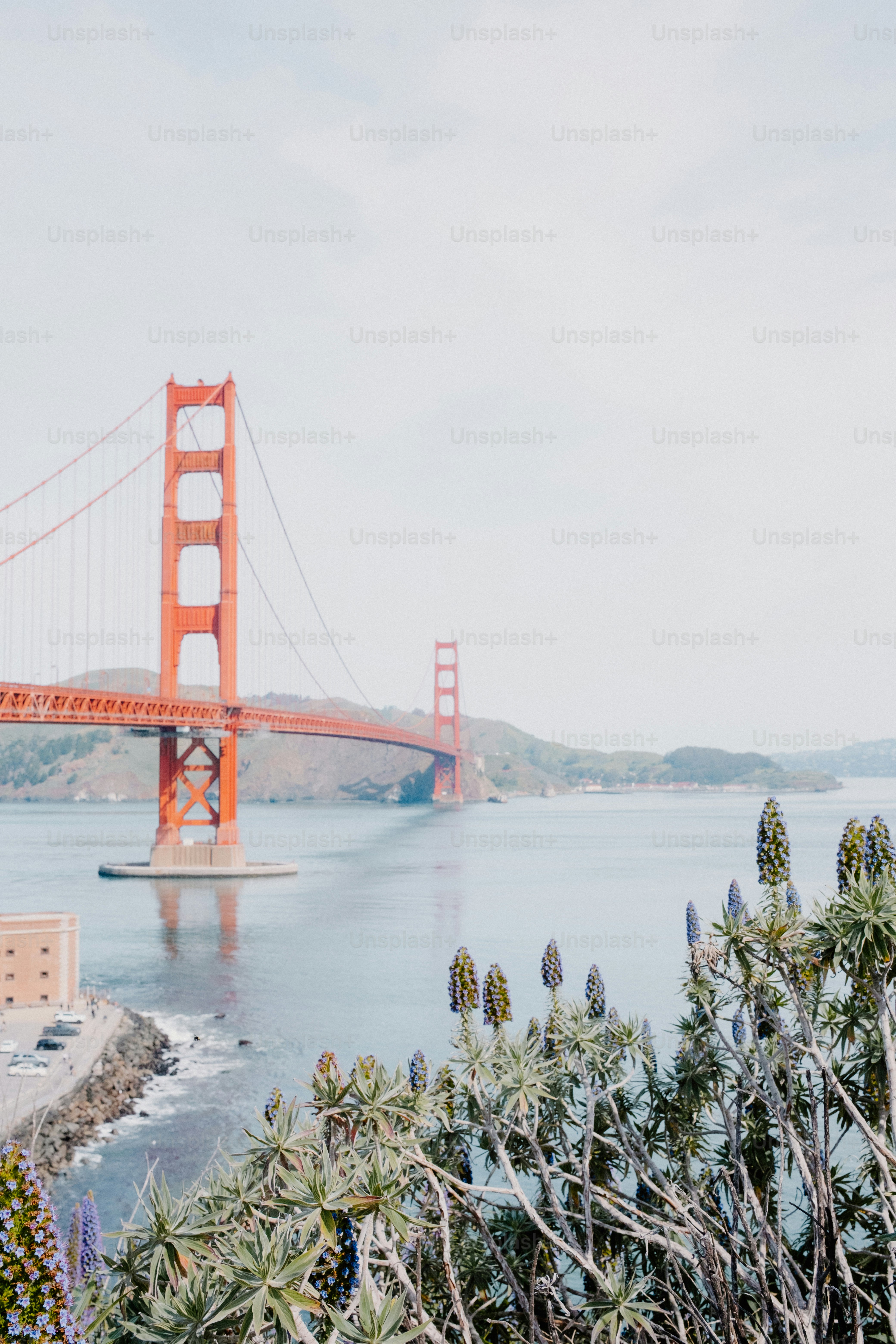 The golden gate bridge spans across the blue water