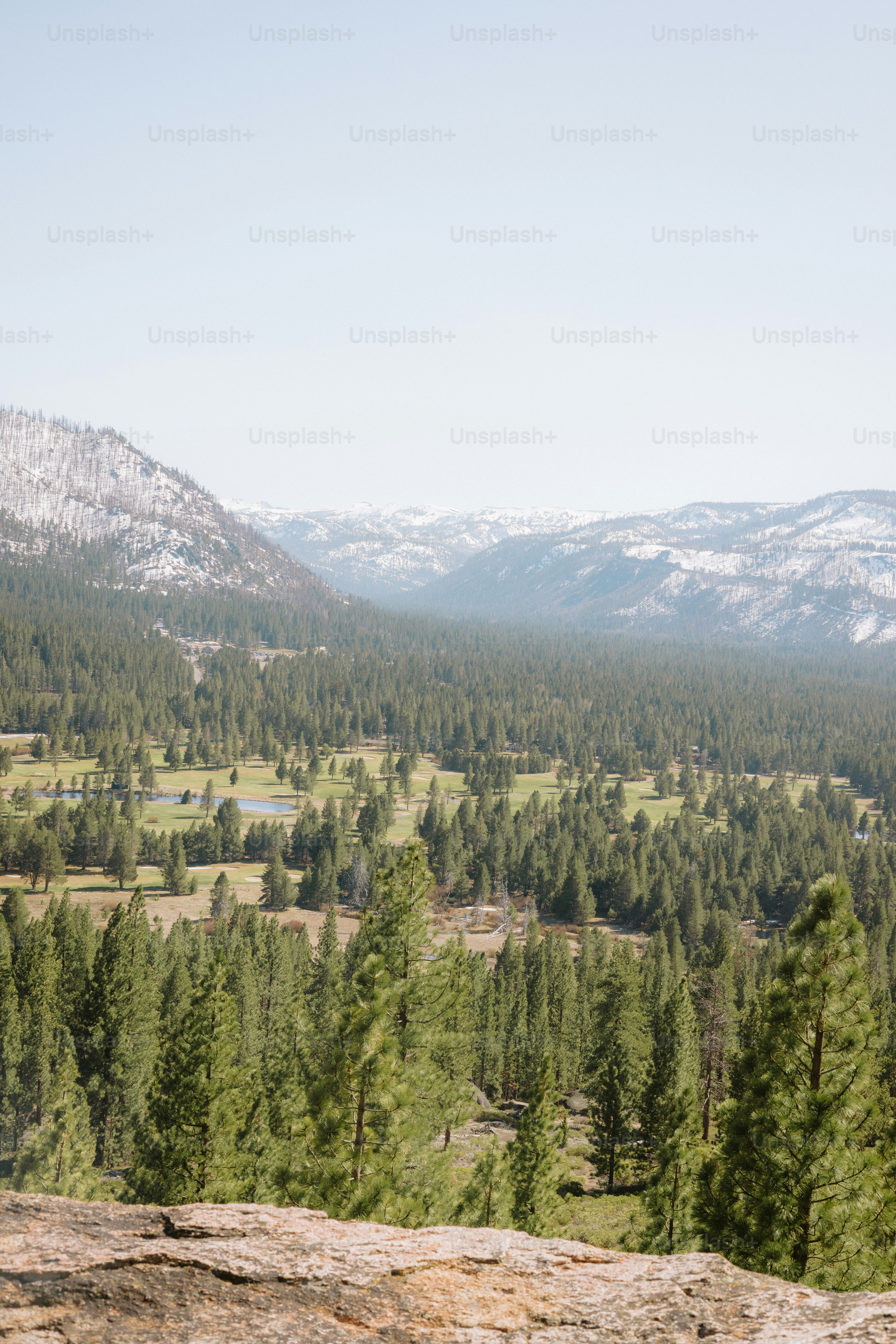 A lush forest and mountain range landscape.