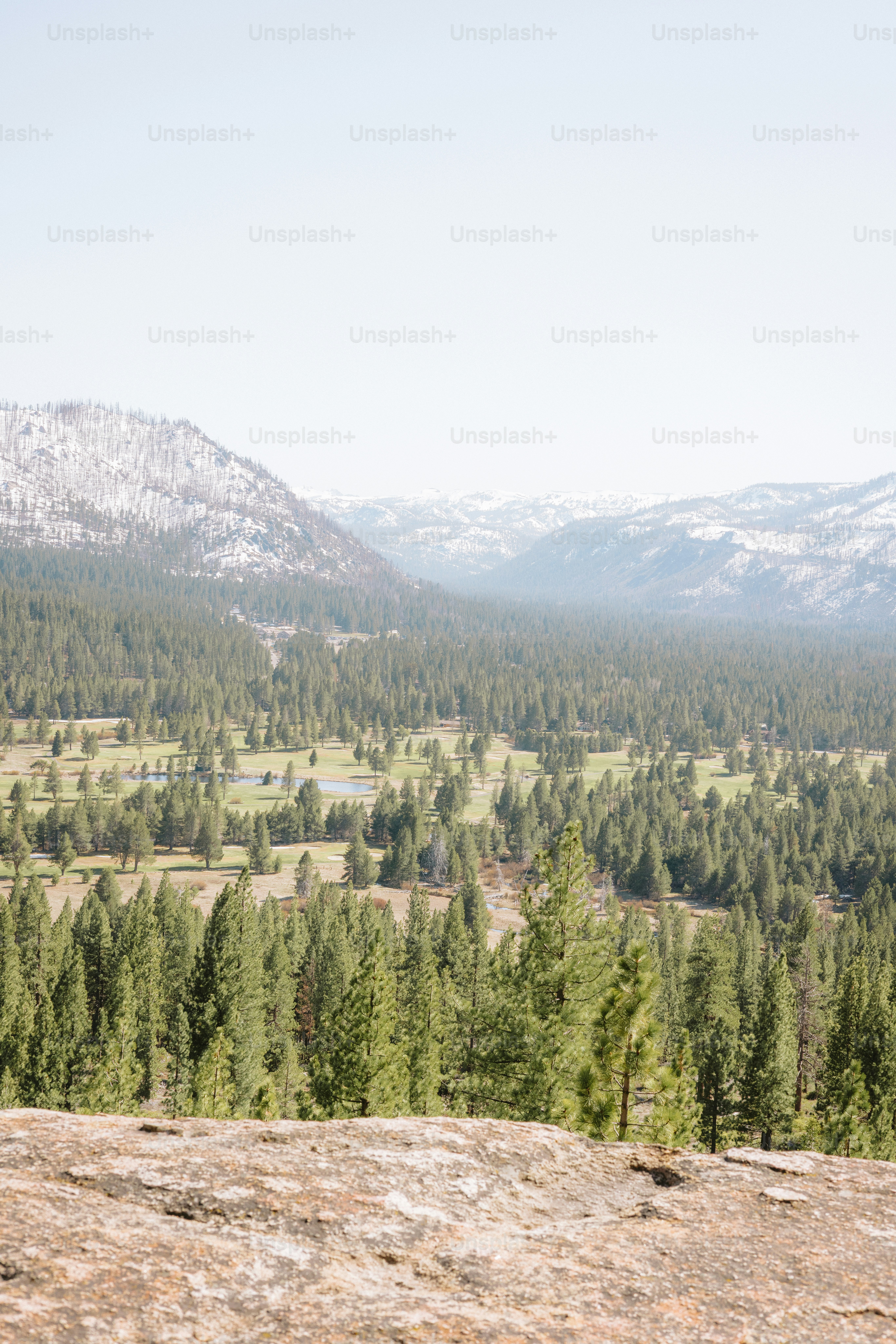 A green forest valley with mountains in the background.