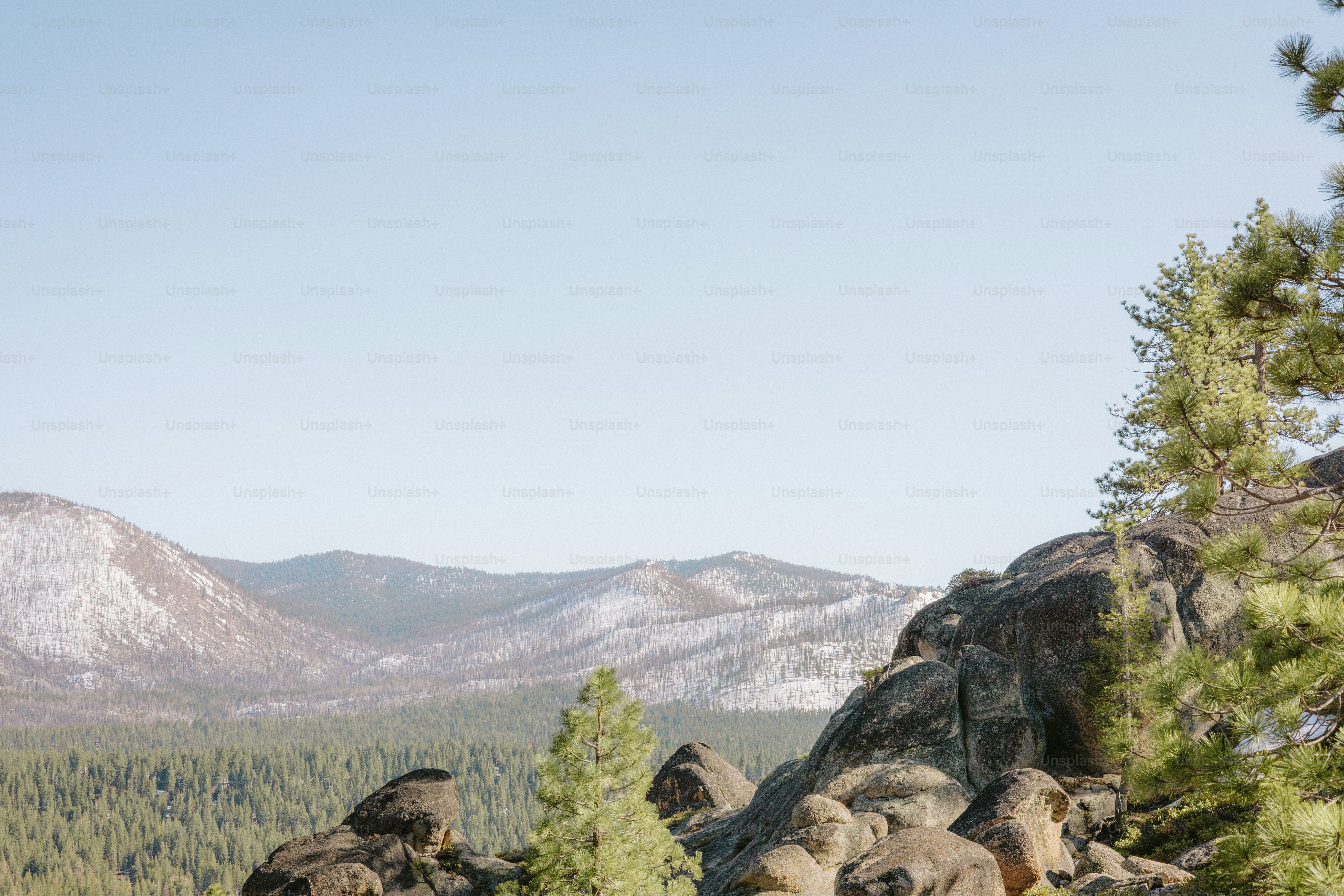 Mountains and trees under a clear, blue sky.