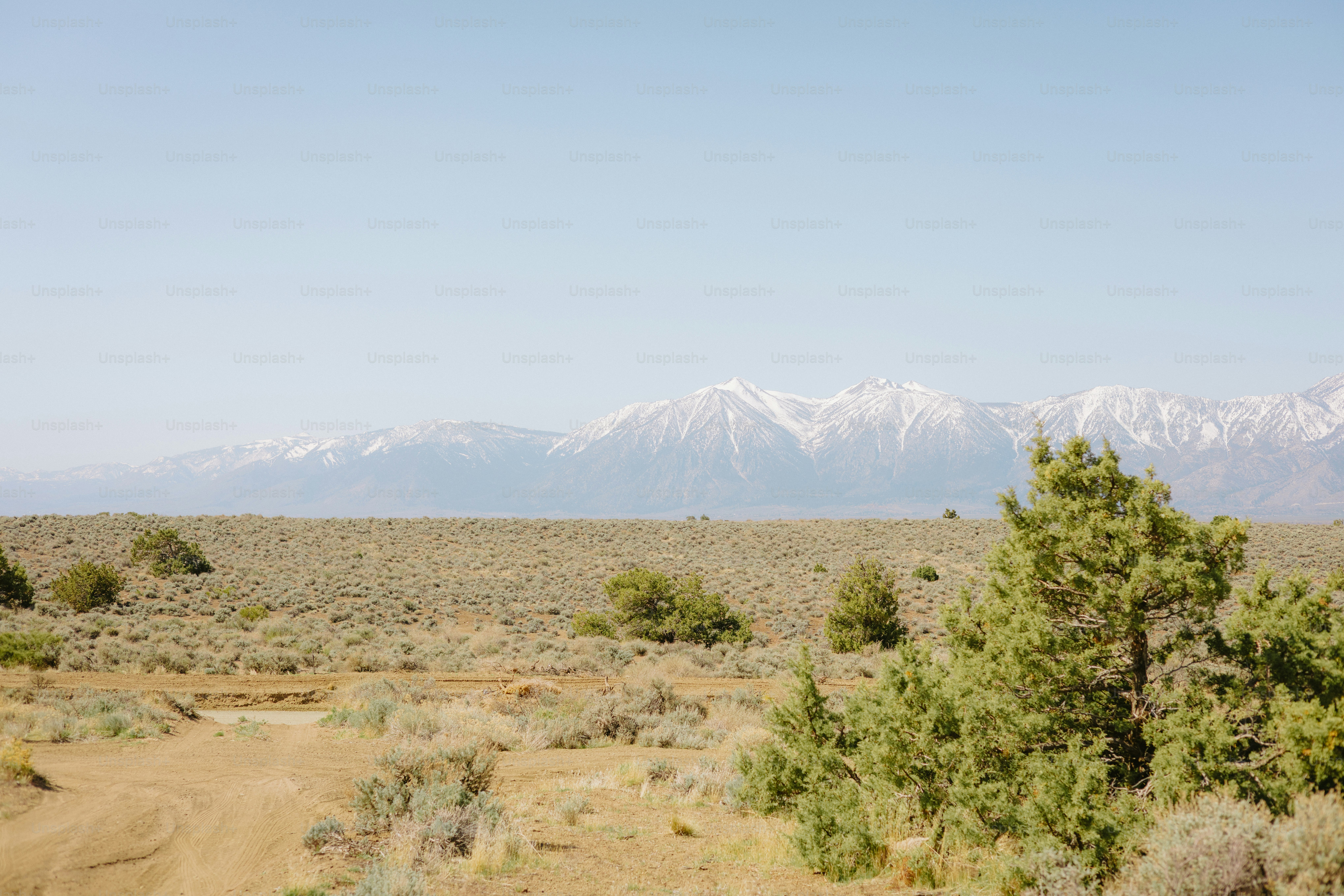 A dry landscape with mountains in the background.