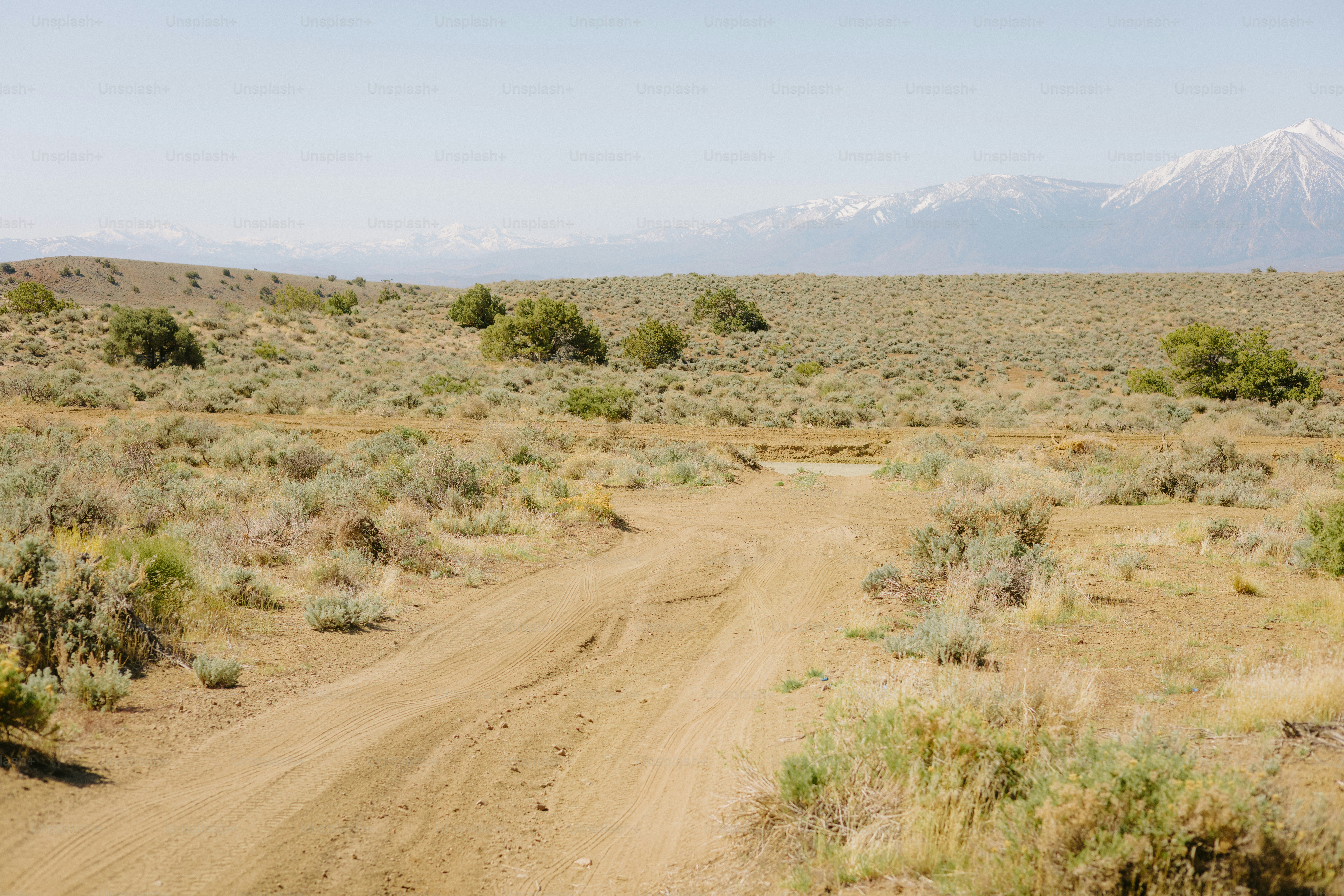 Una strada sterrata conduce attraverso un paesaggio arido e desertico