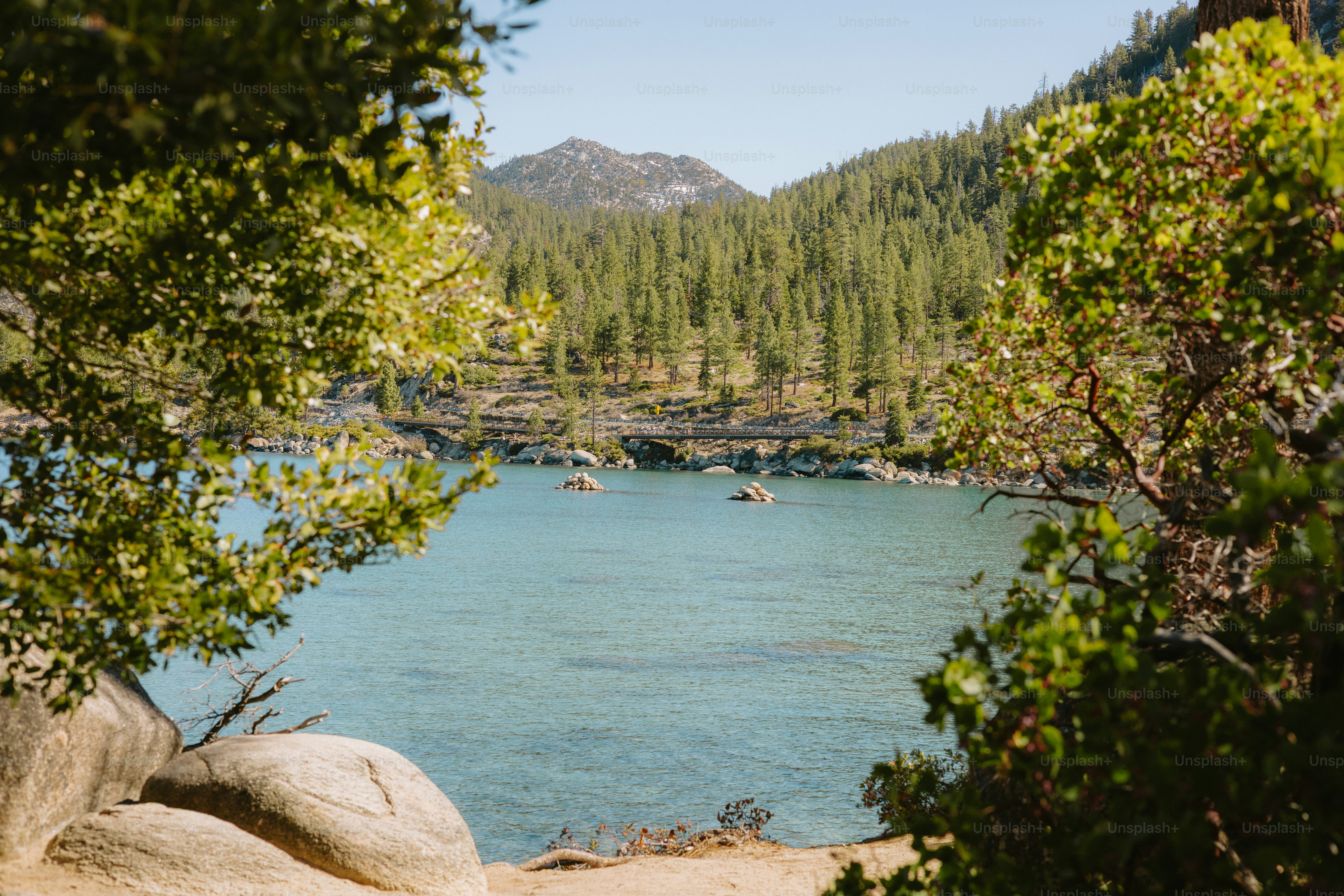 Un lago tranquillo circondato da alberi lussureggianti.