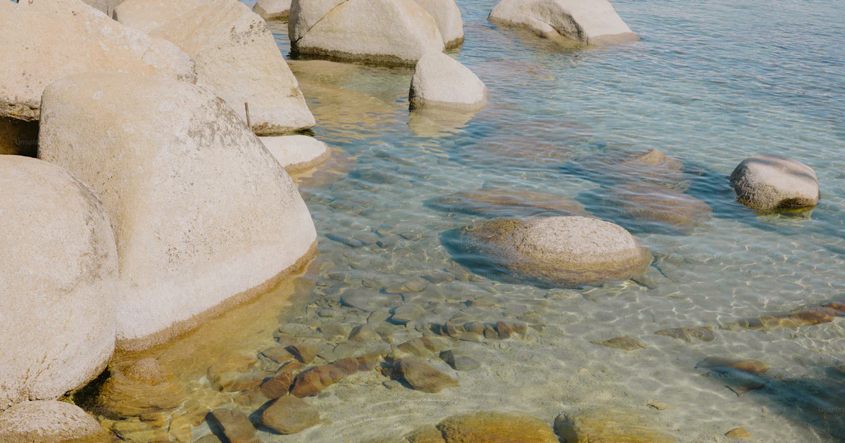 Translucent Water With Rocks Rocks and clear water are shown in the image. photo – Texture Image on ...