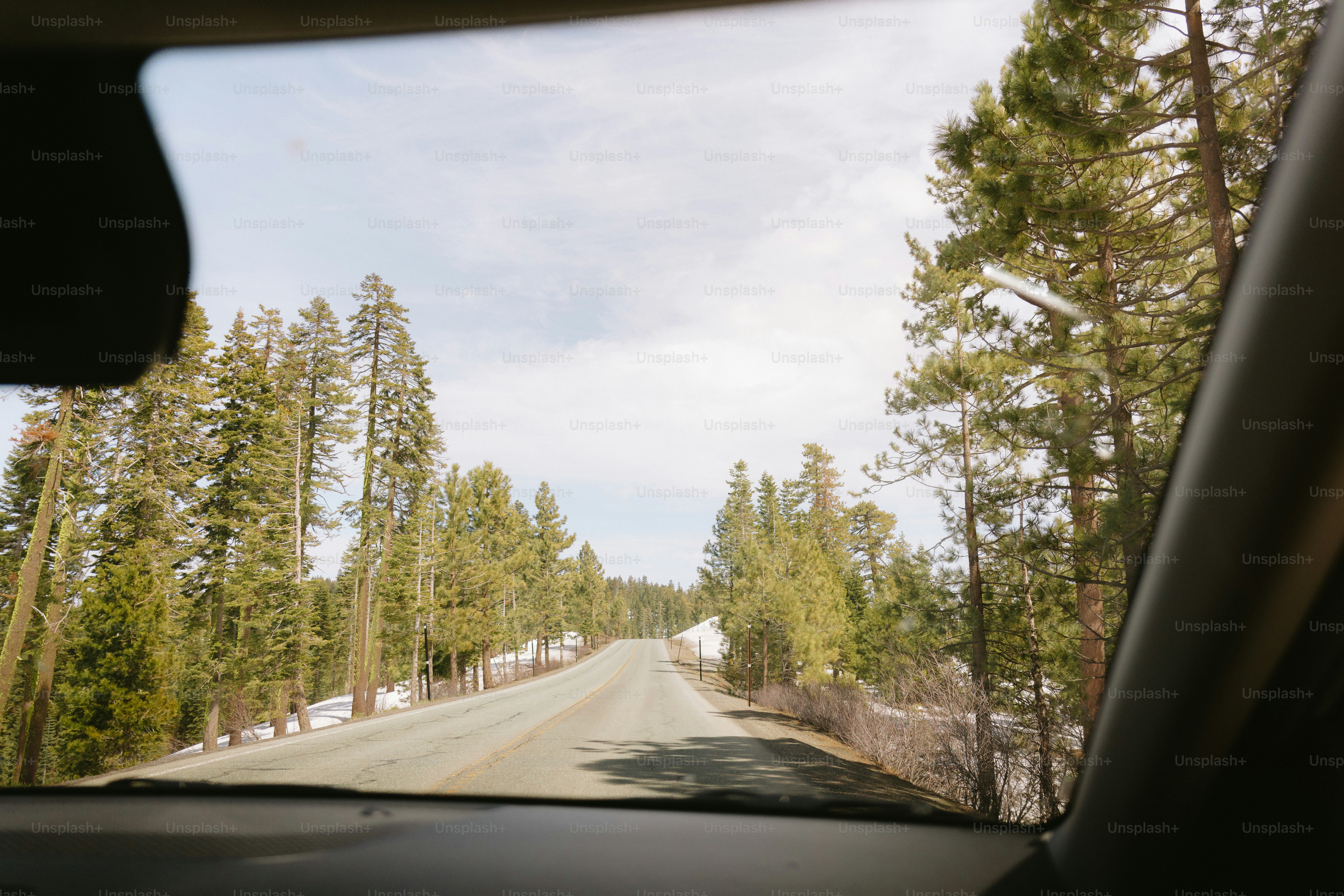 Conduire sur une route entourée d’arbres.