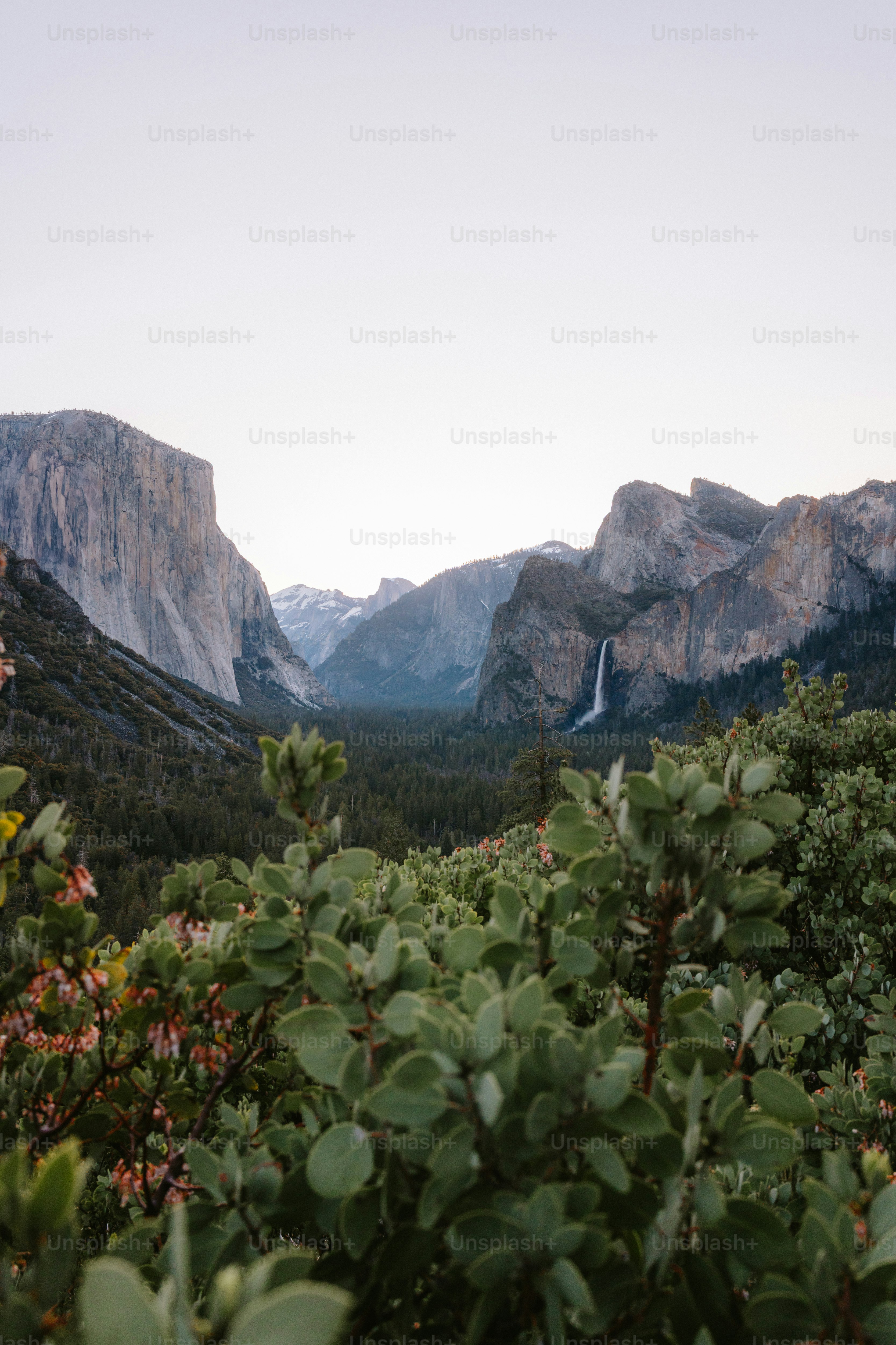 Yosemite valley is beautiful at dusk