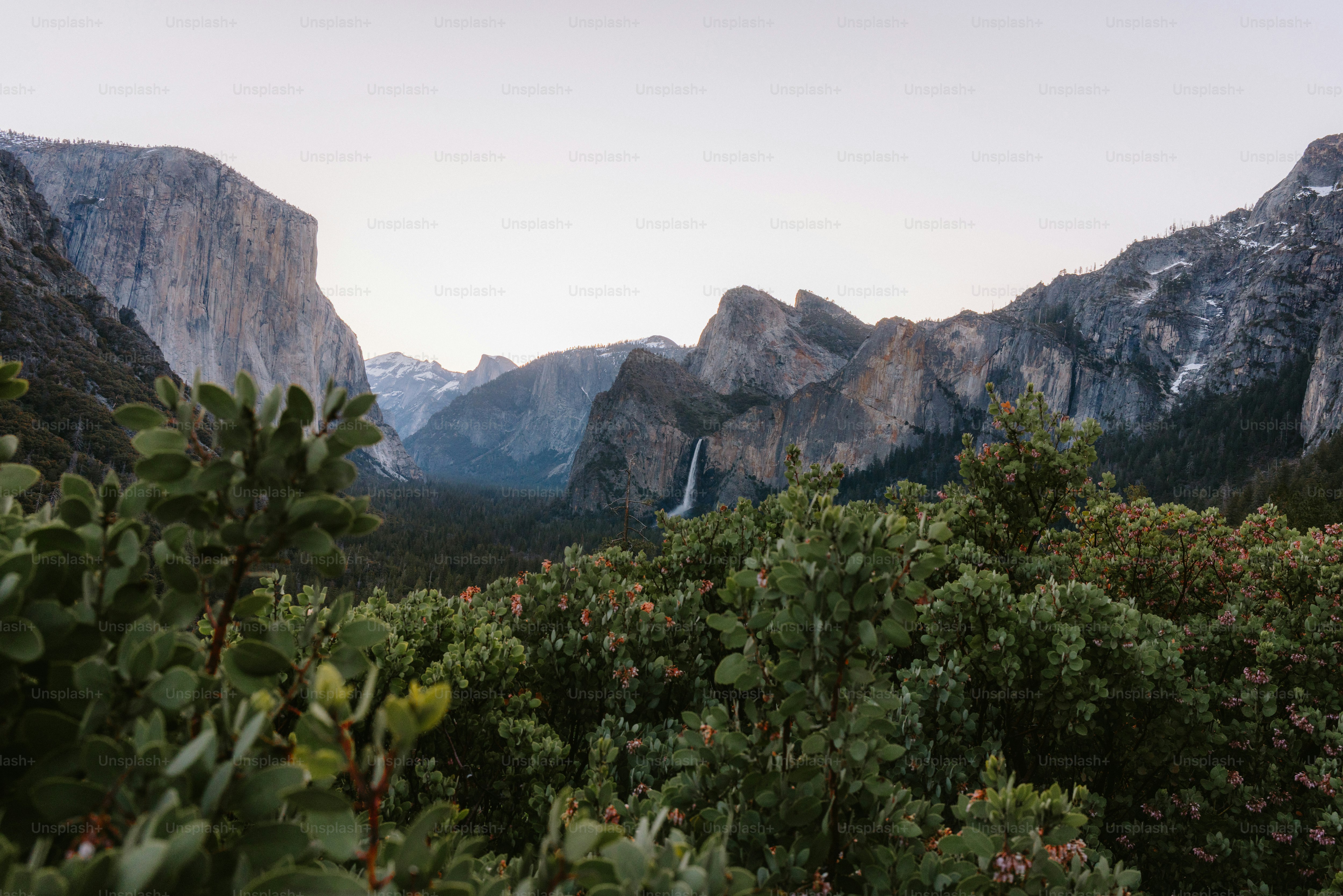 A scenic view of mountains and green trees.
