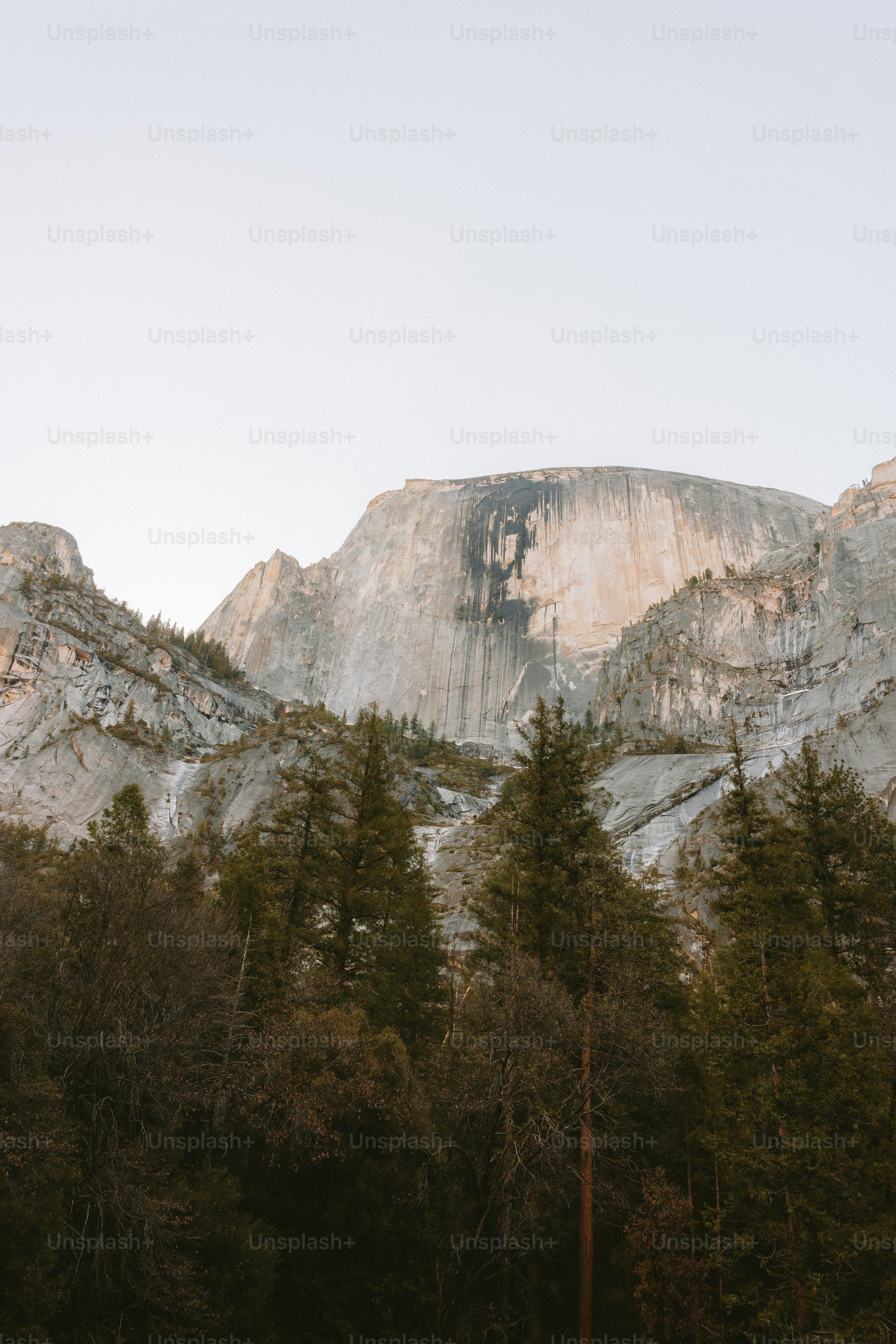 Mountains and trees: a scenic landscape.