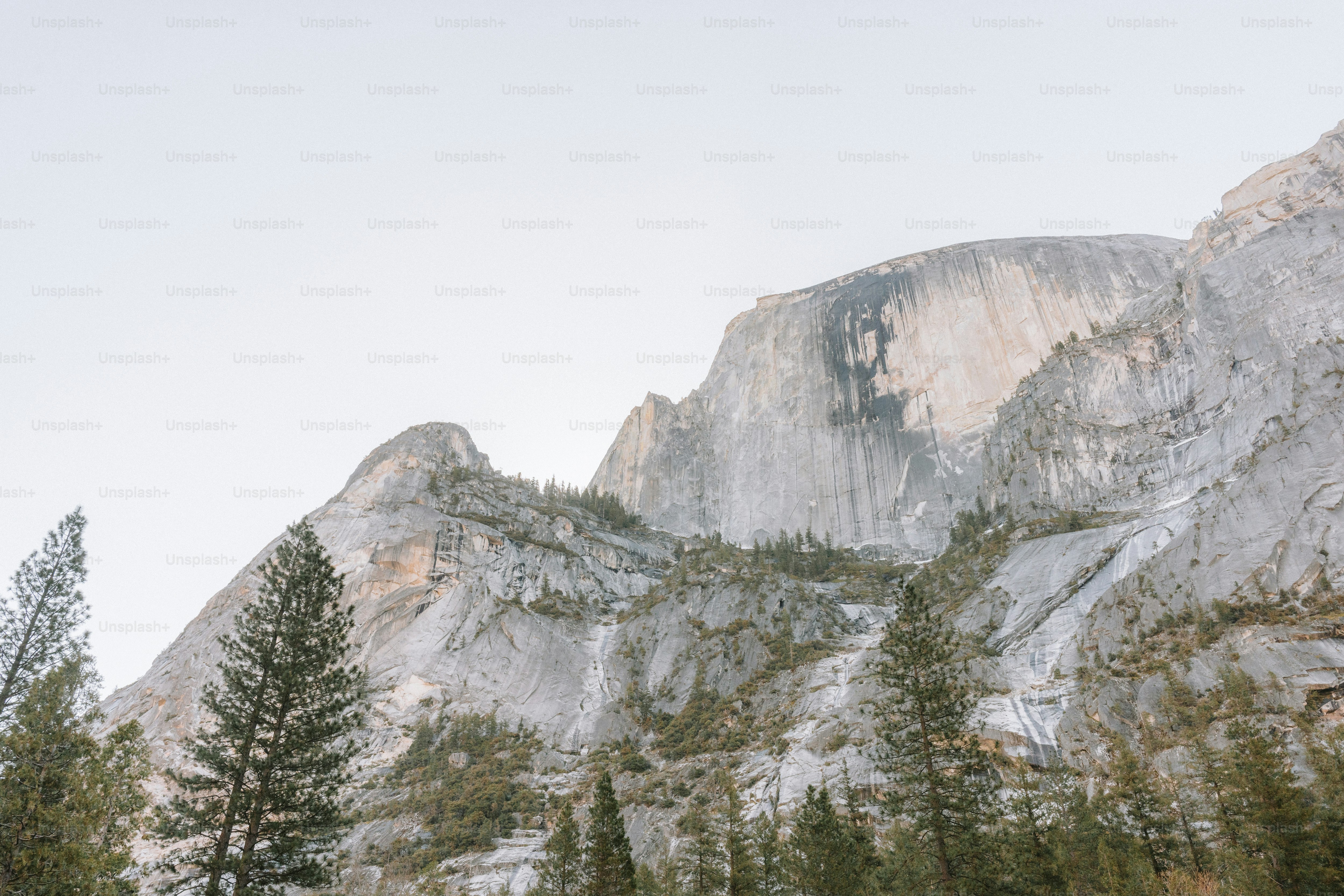 Half dome mountain rises with trees in the foreground.