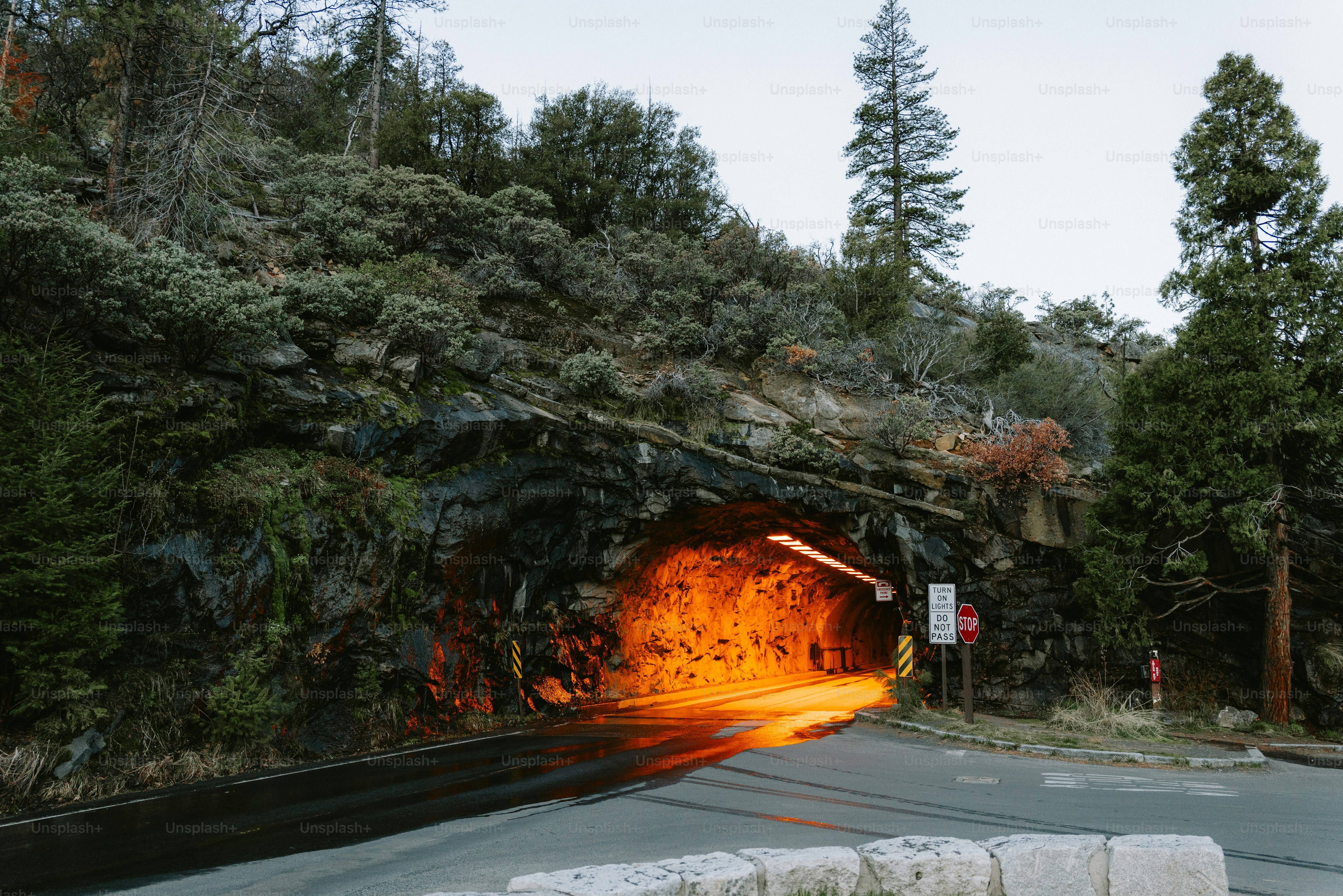 Road through a tunnel glowing with bright light.