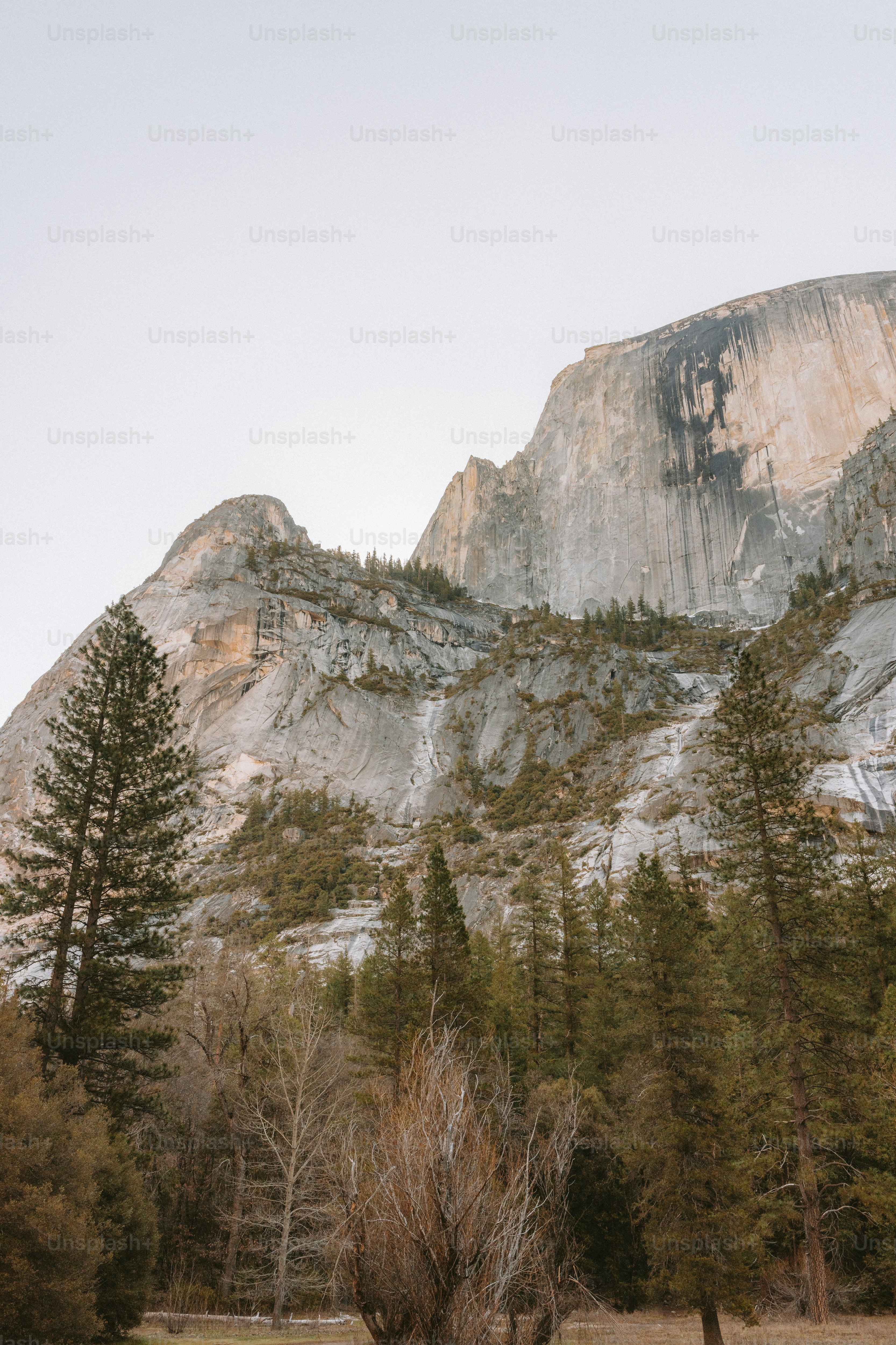 Una grande montagna si erge alta con alberi