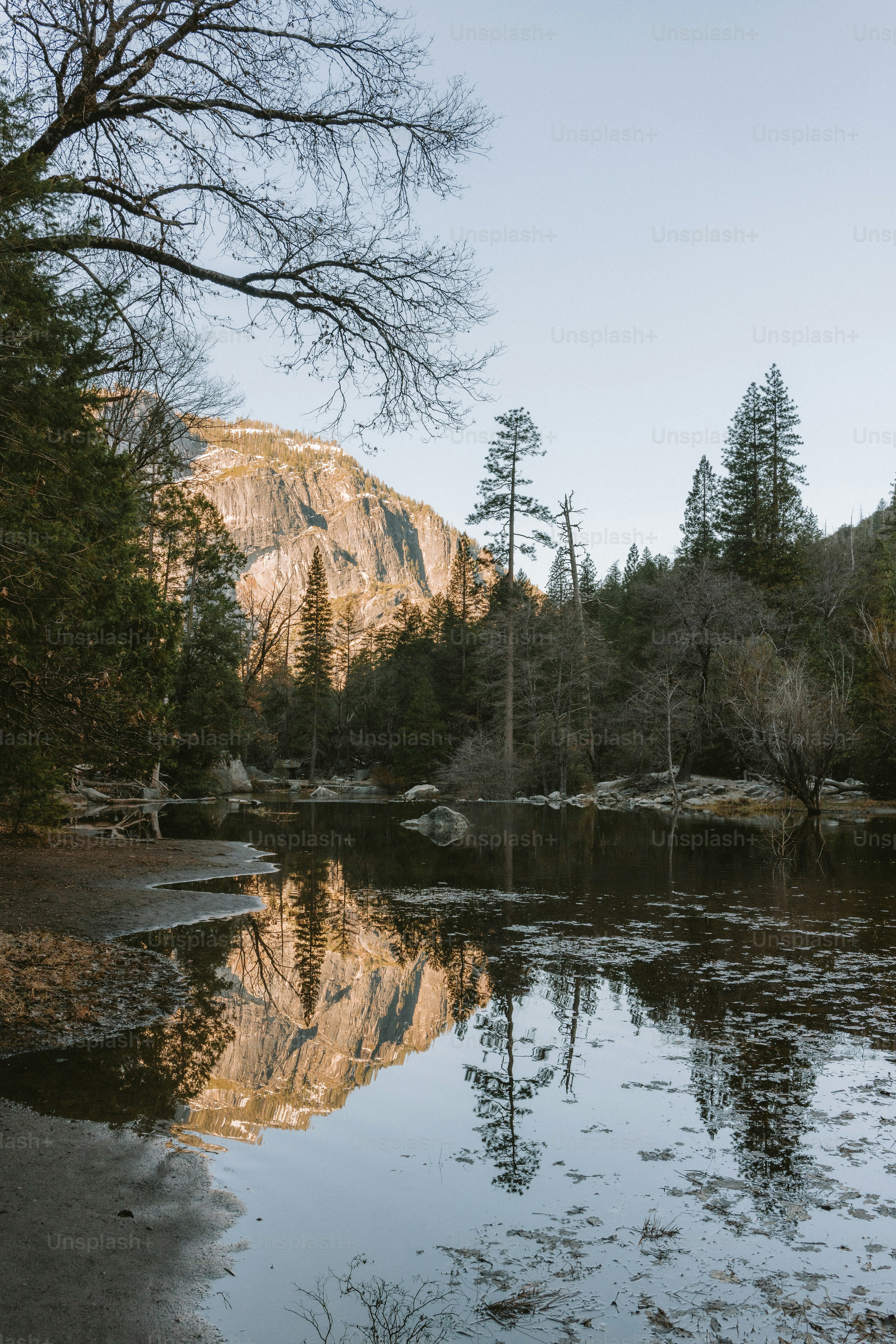 Reflection of mountains and trees in still water.
