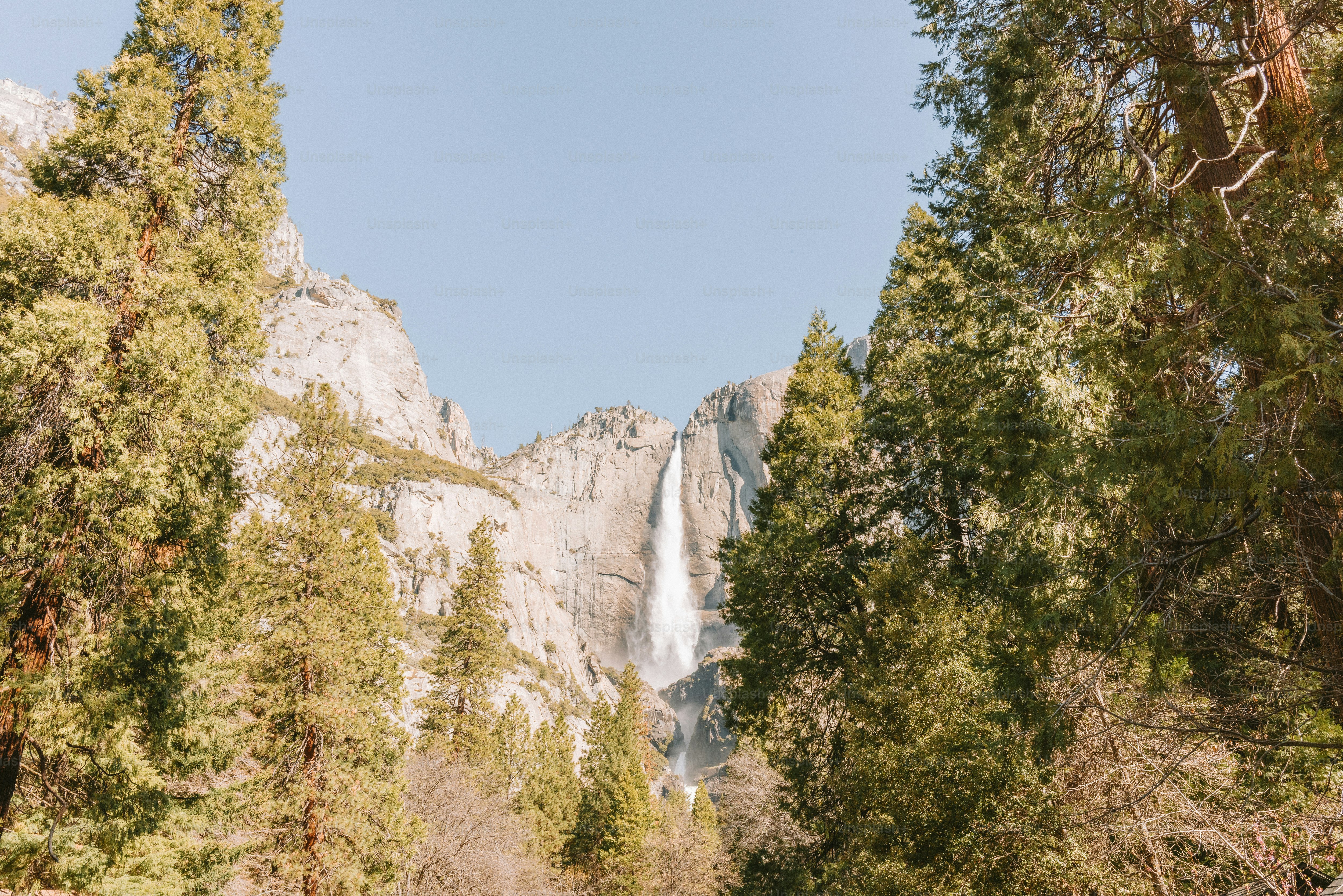 La cascata scorre tra gli alberi
