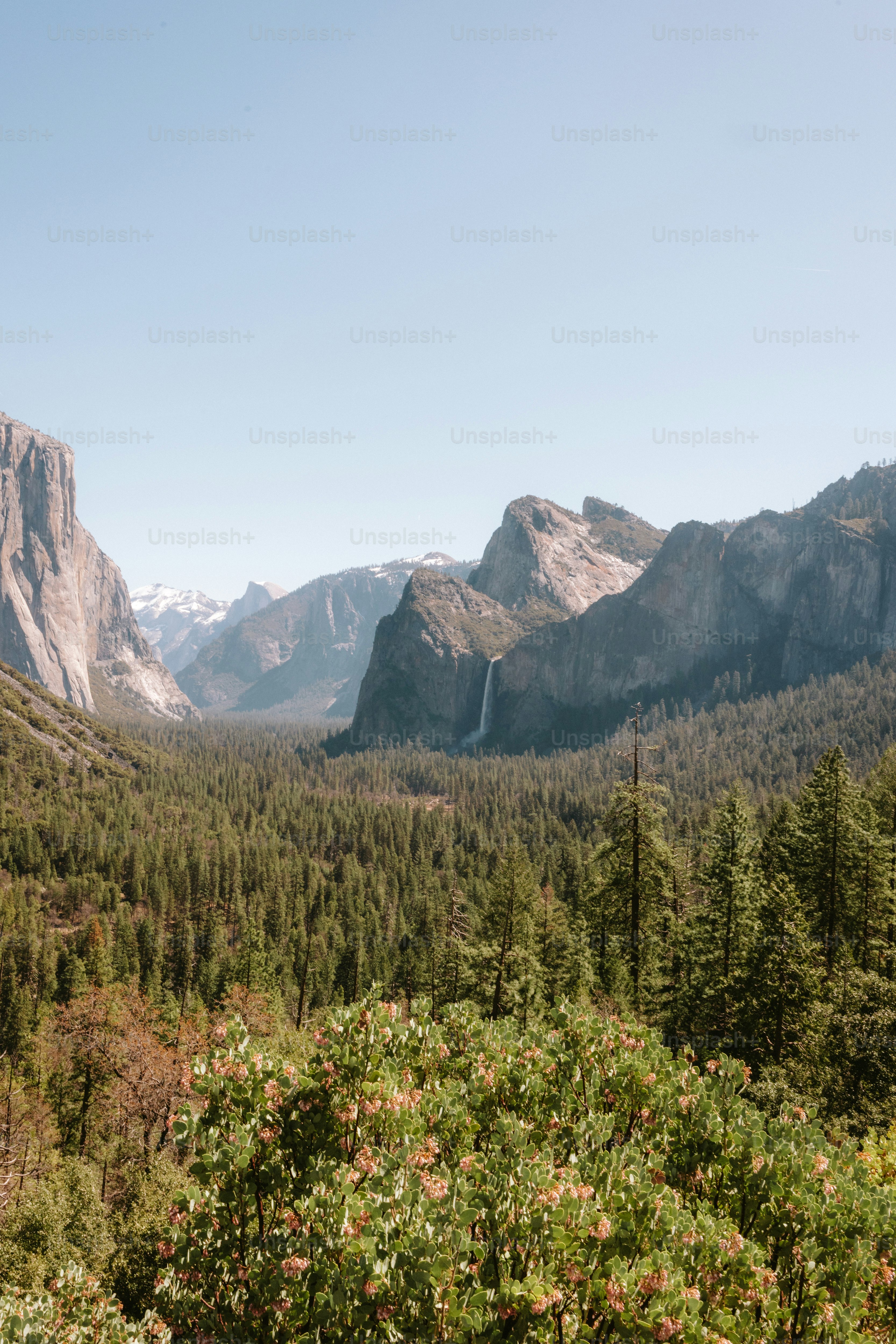 Majestic mountains and lush forests under a clear sky. photo – Scenery ...