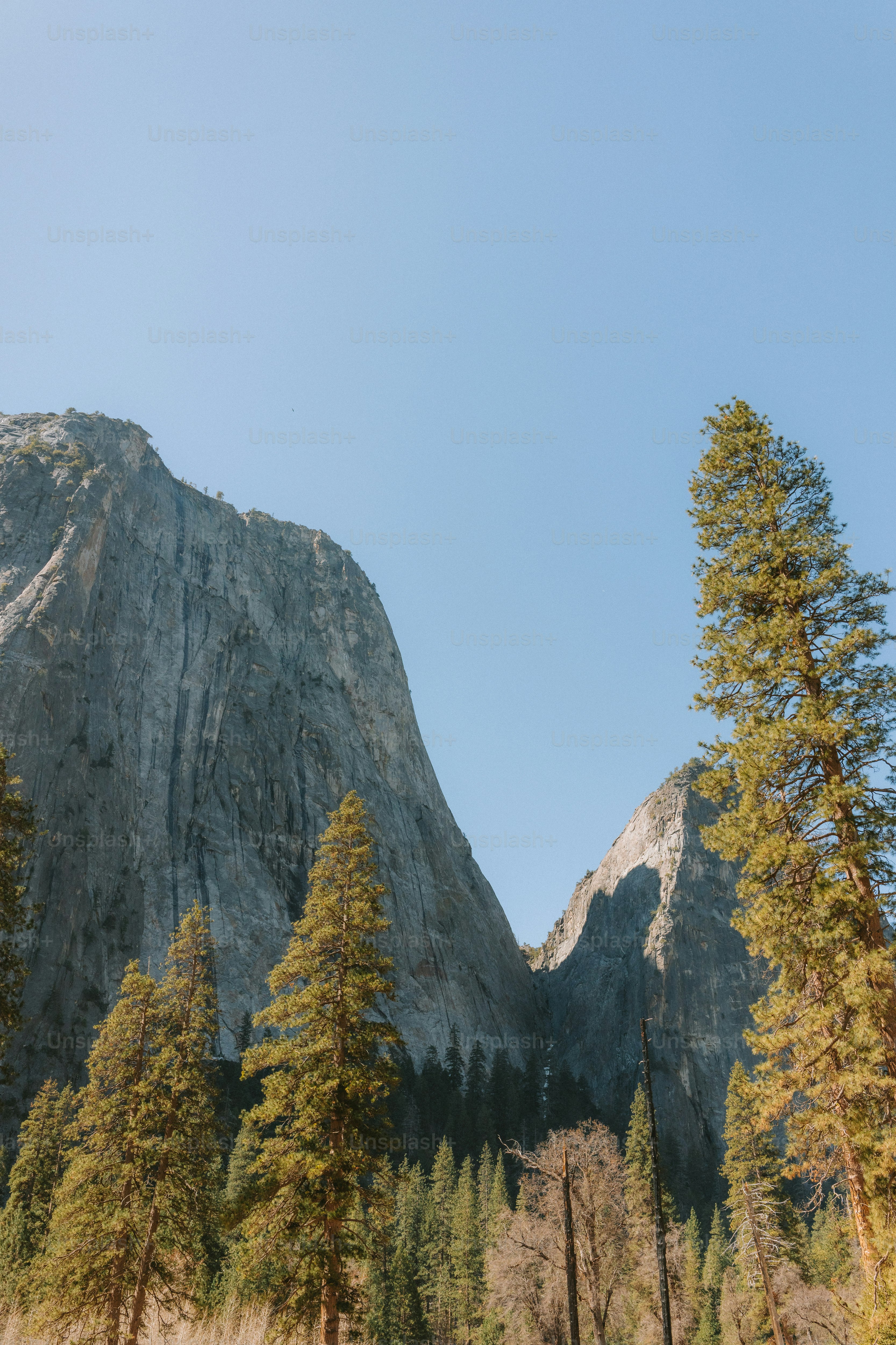 Mountains and trees under a clear, blue sky.