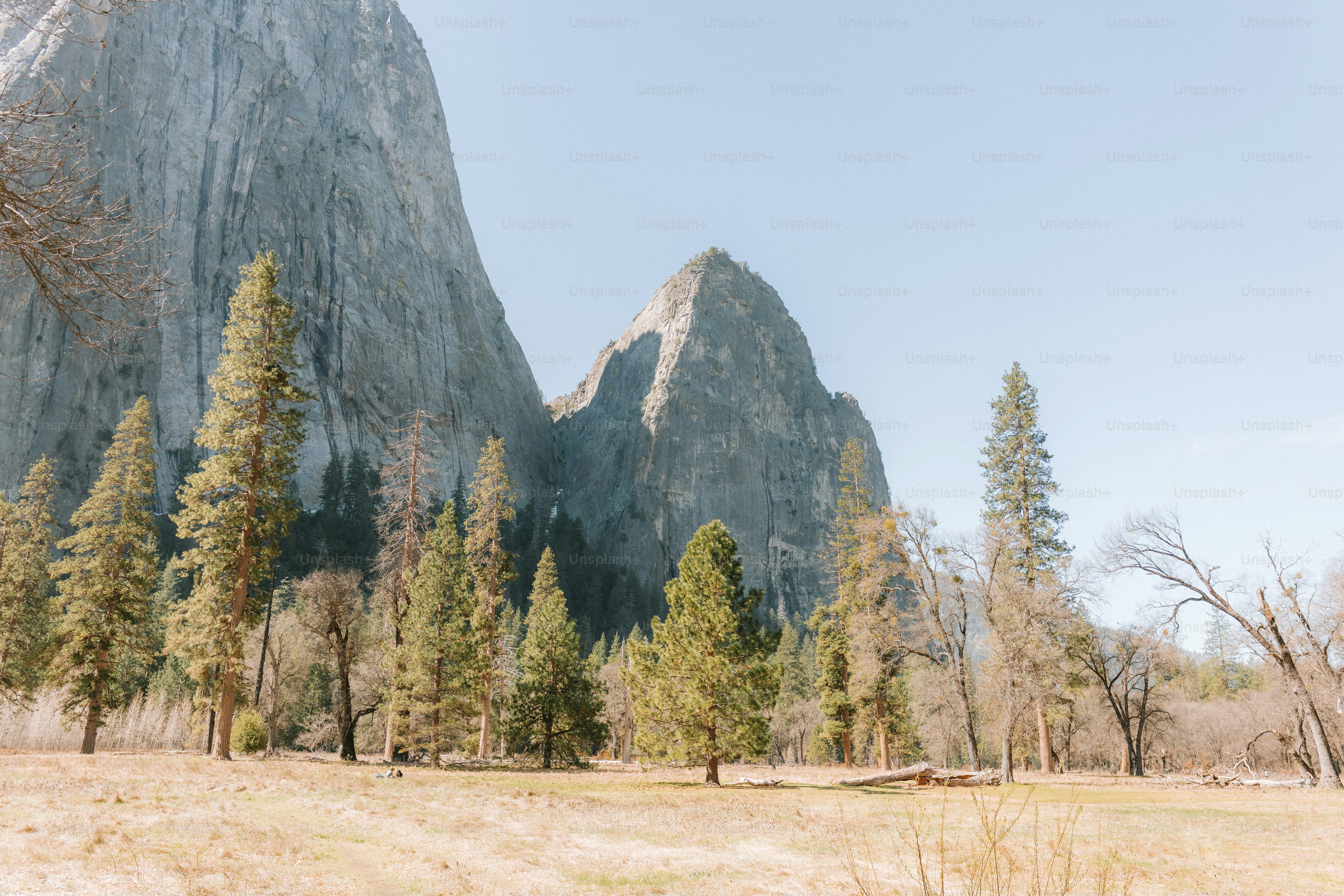 Mountains rise above trees in a sunny landscape.