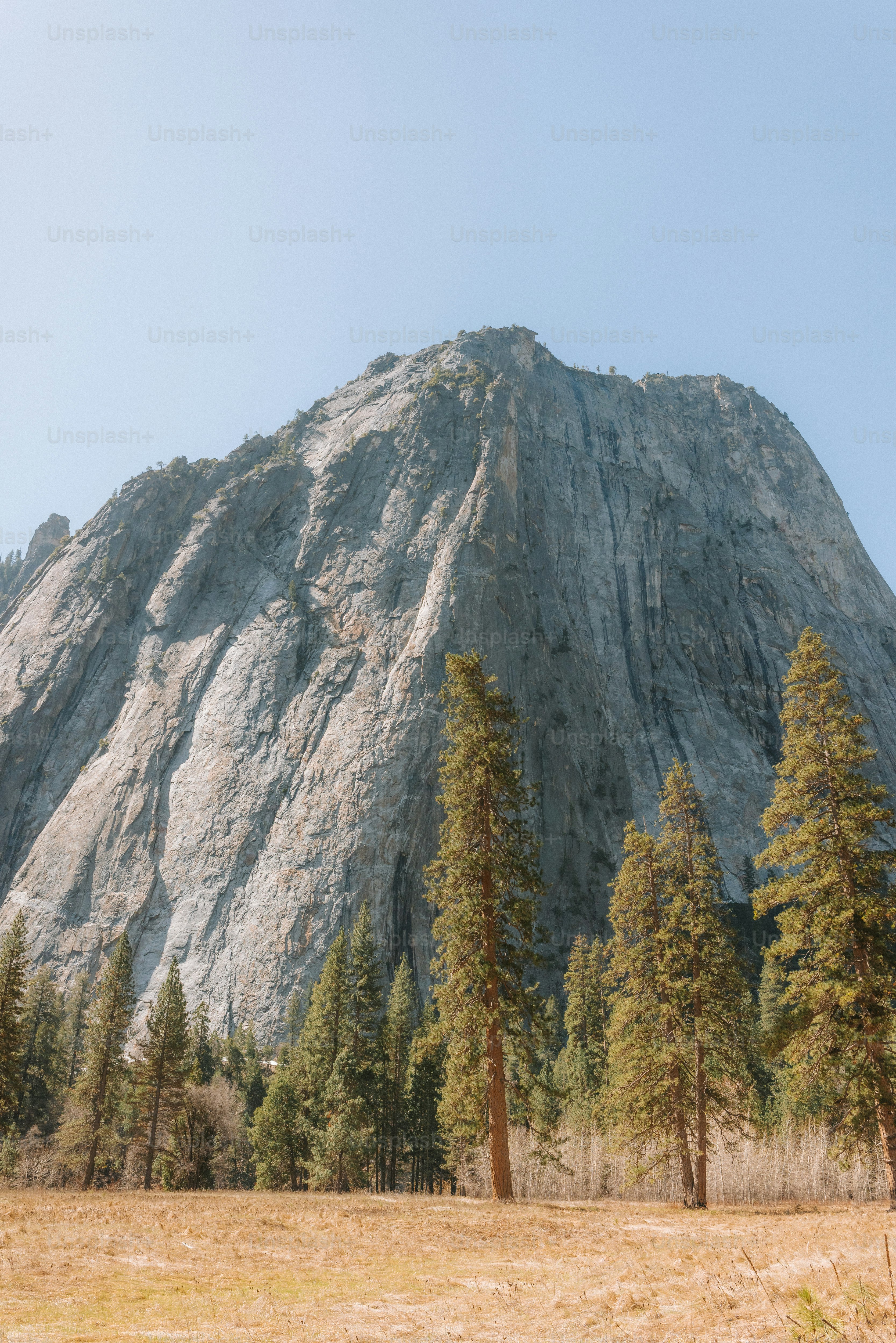 A majestic mountain towers over lush green trees.