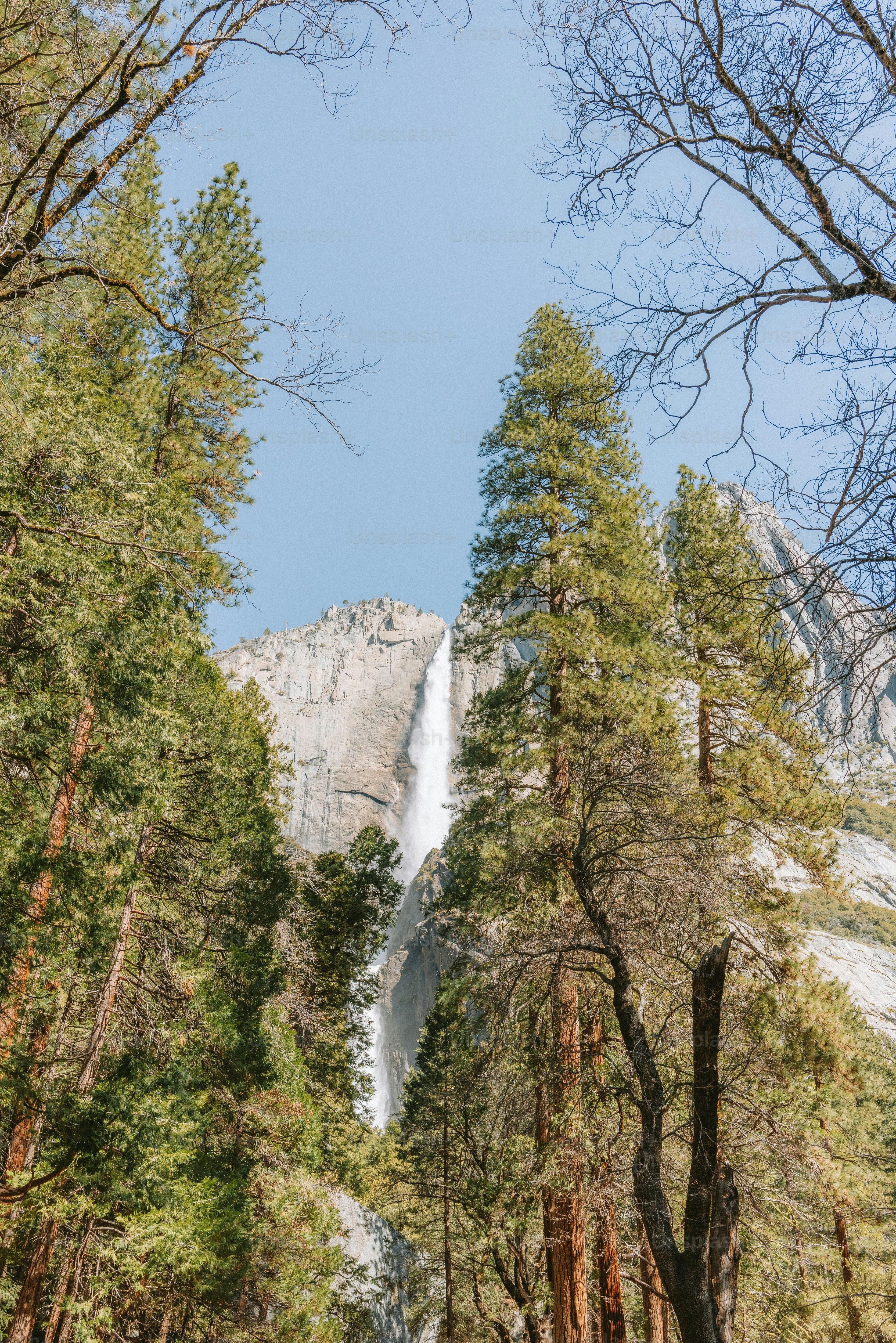 Waterfall cascades down a mountain, framed by trees.