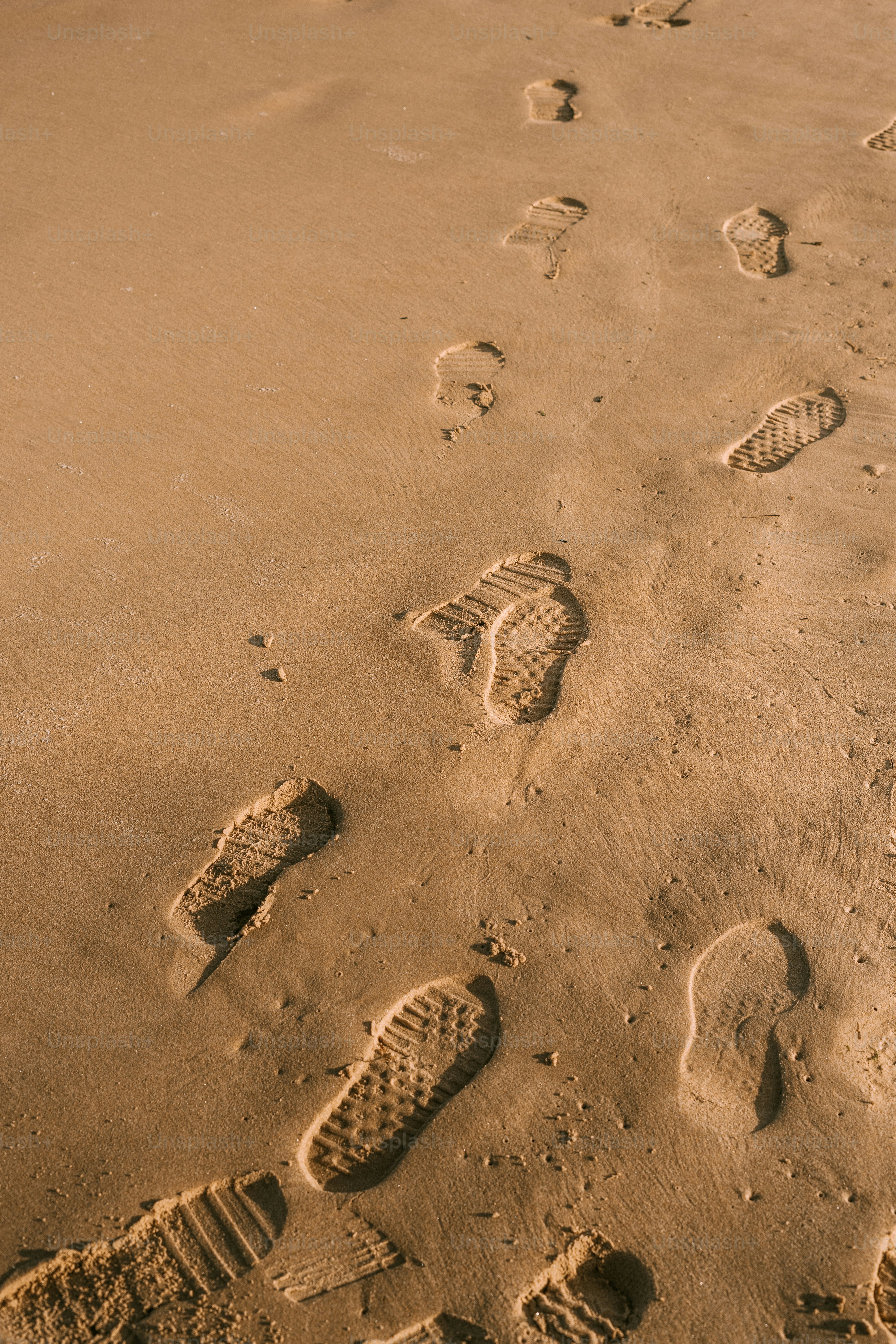 Footprints are imprinted in the sandy beach.