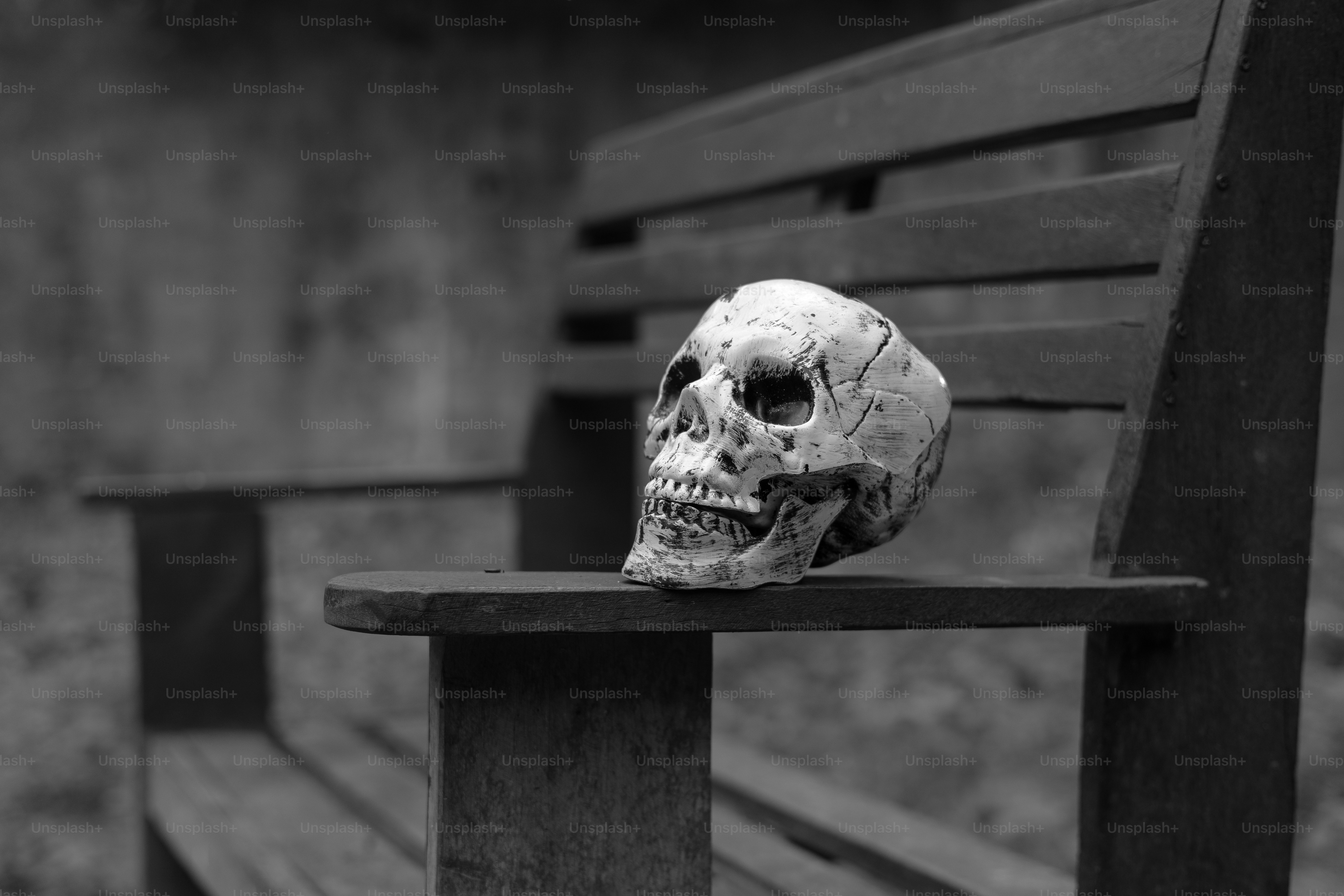 A skull rests on a wooden bench.