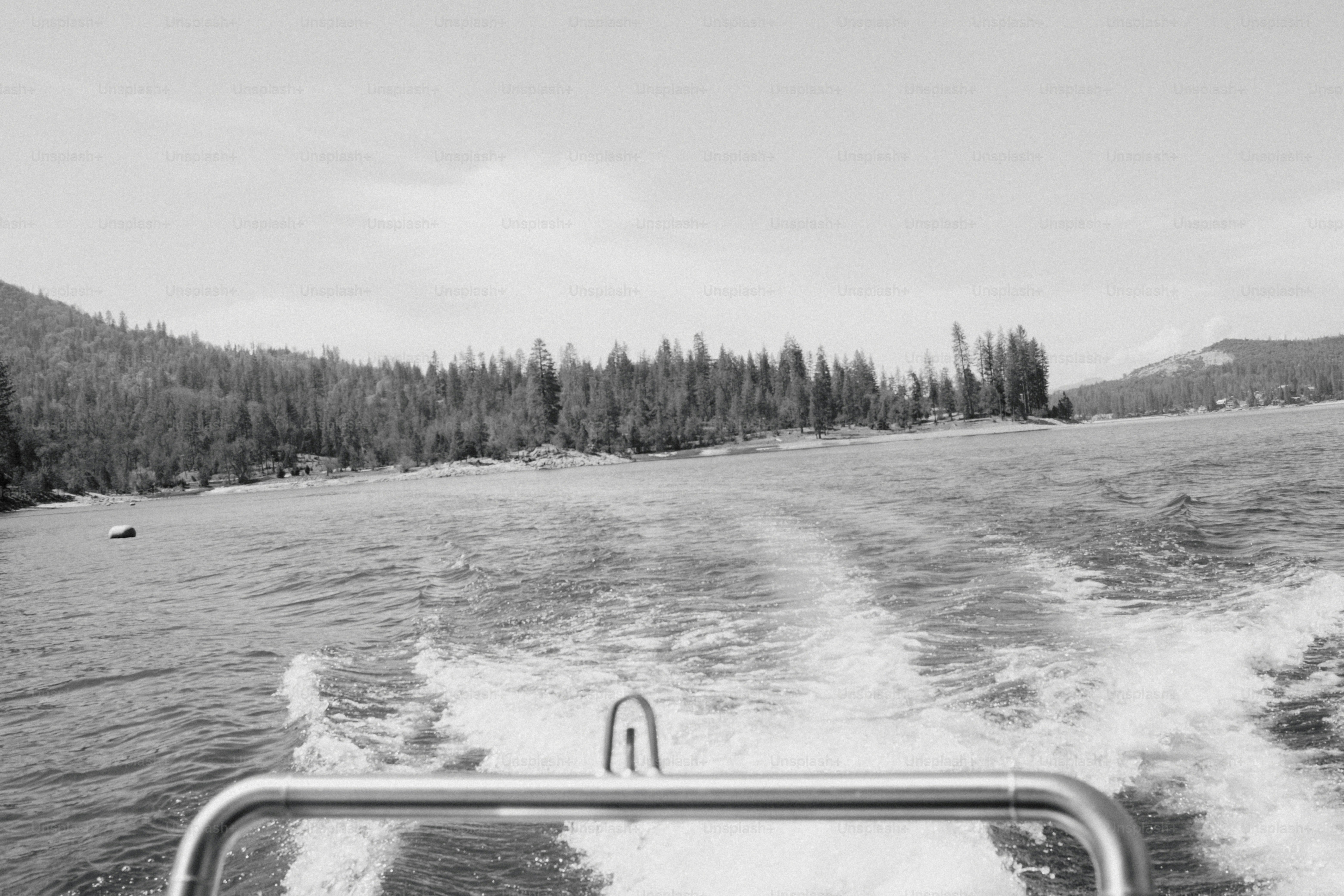 Bootsfahrt über das Wasser mit Bäumen in Sichtweite.