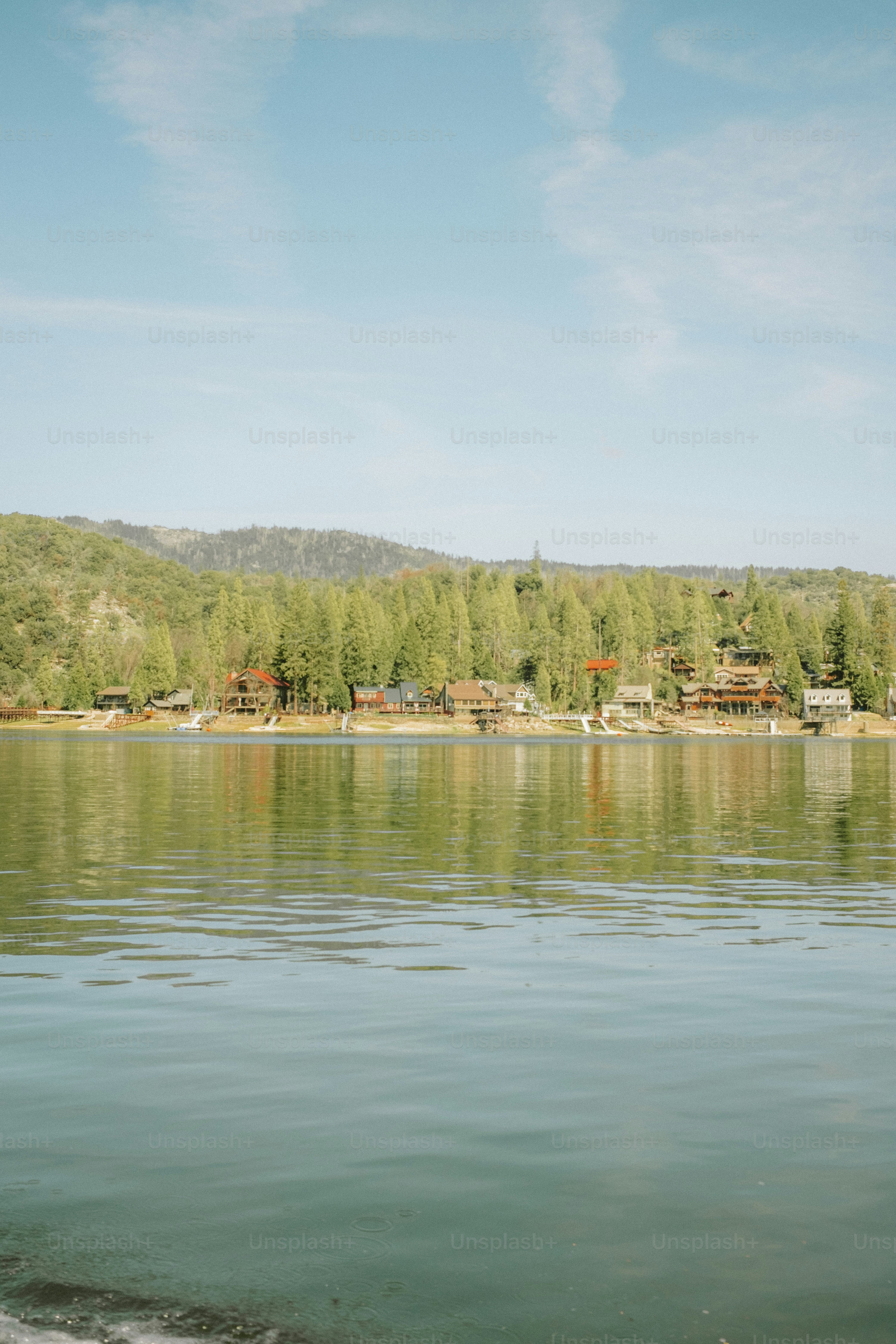 Houses line a lake with trees and a blue sky.