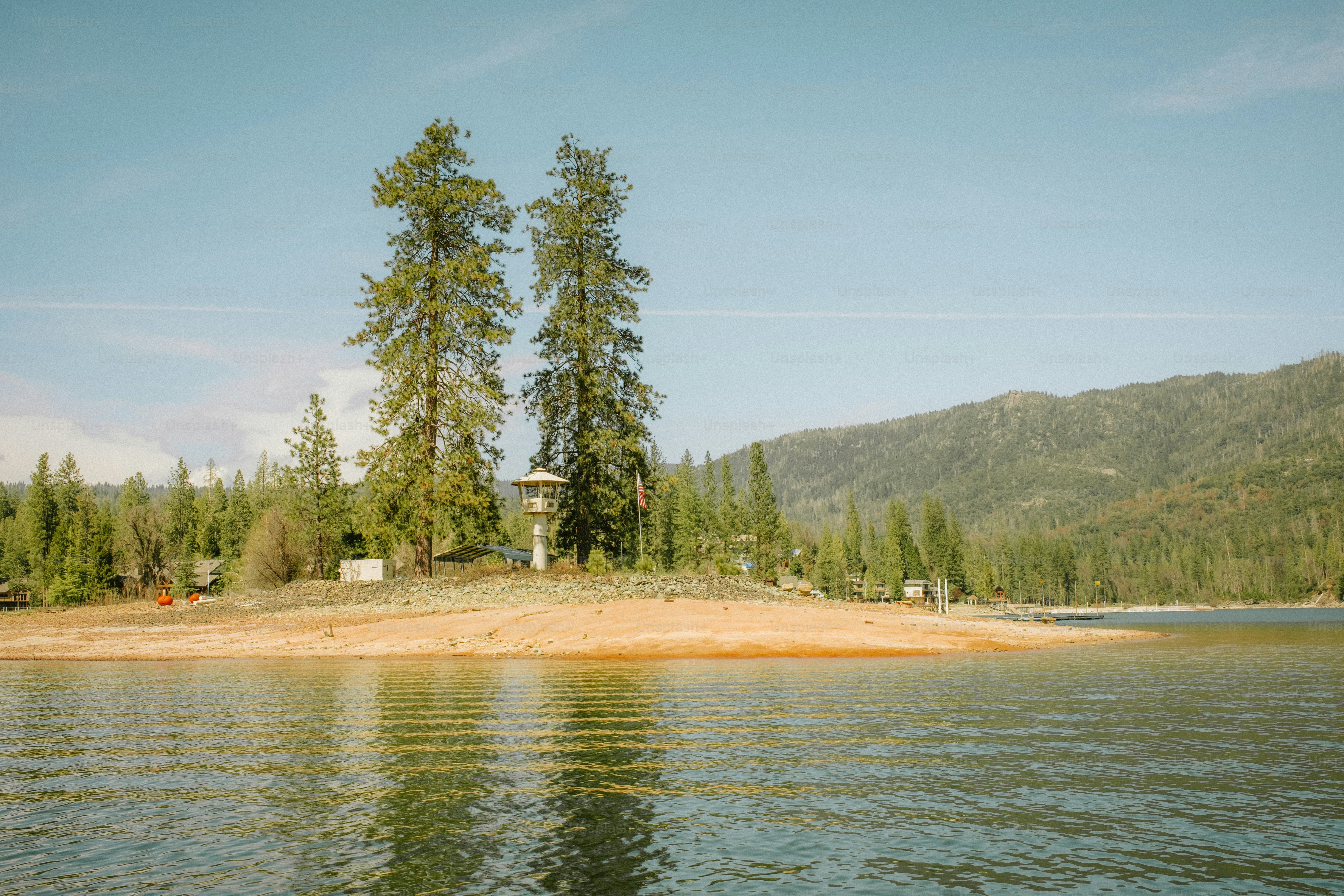 Trees stand on a small island in calm water.