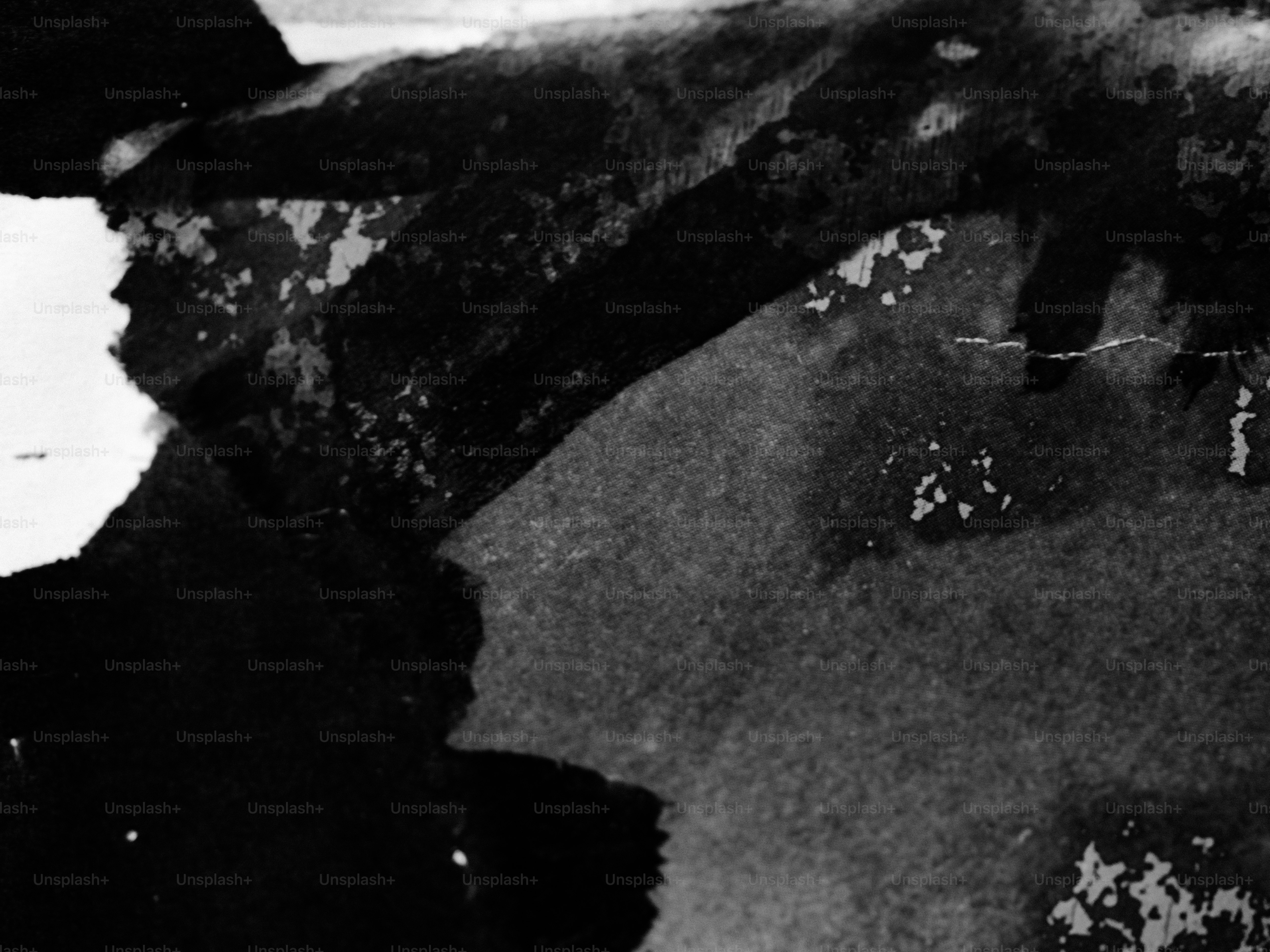 Man in black and white suit photo – Free Mont saint michel Image