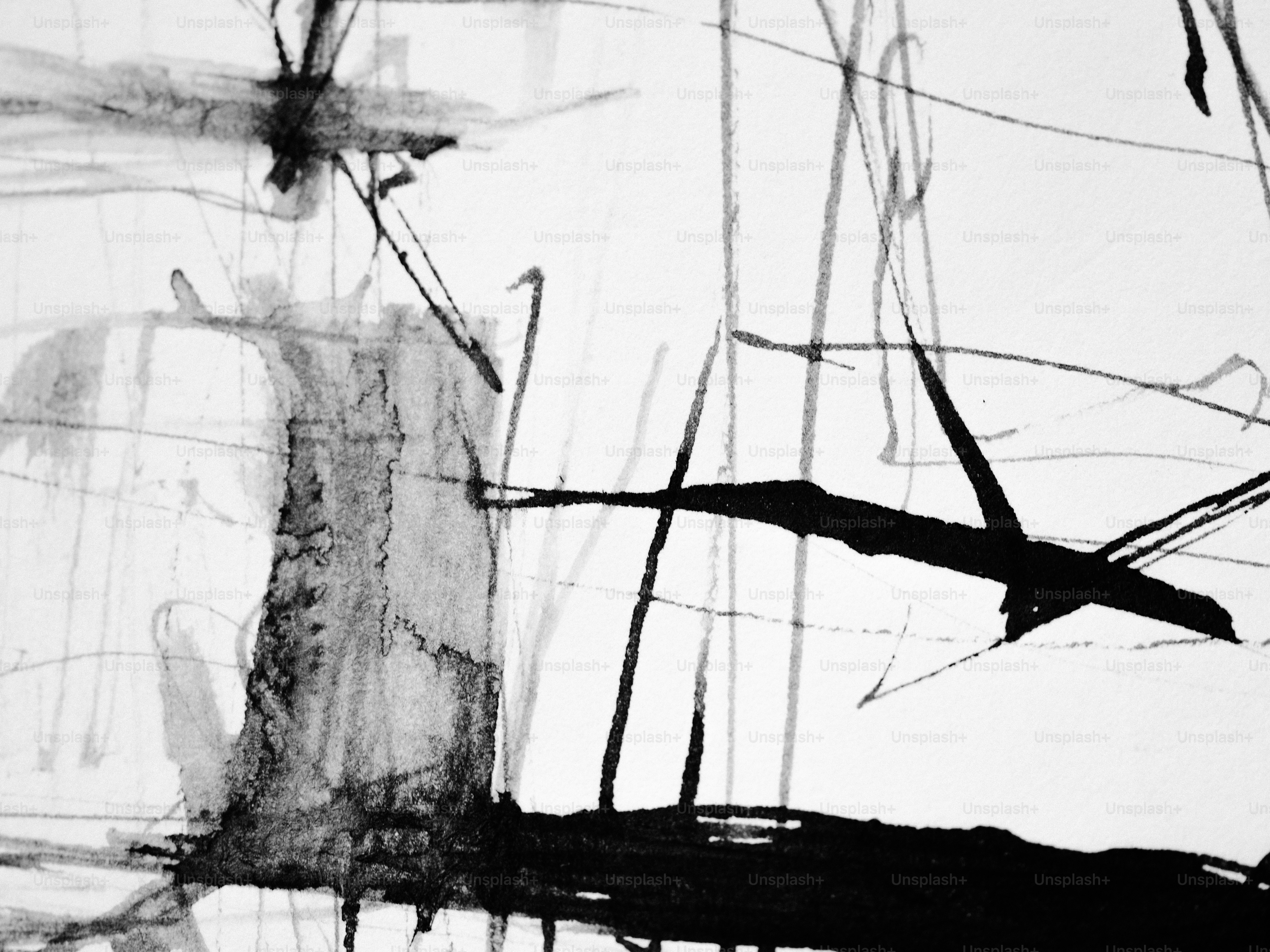 Abstract black and white lines and blots.
