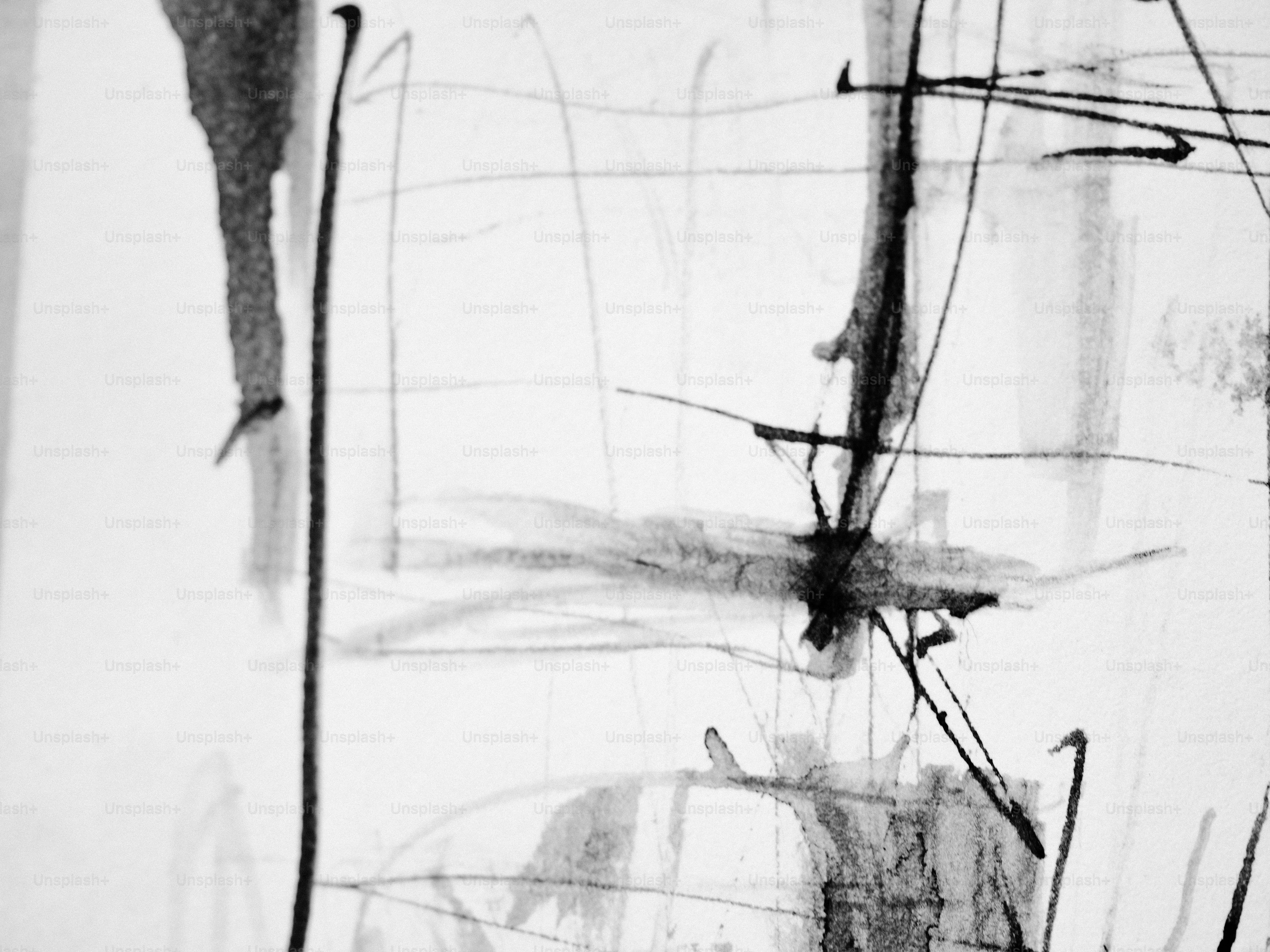 Abstract black and white lines and shapes.