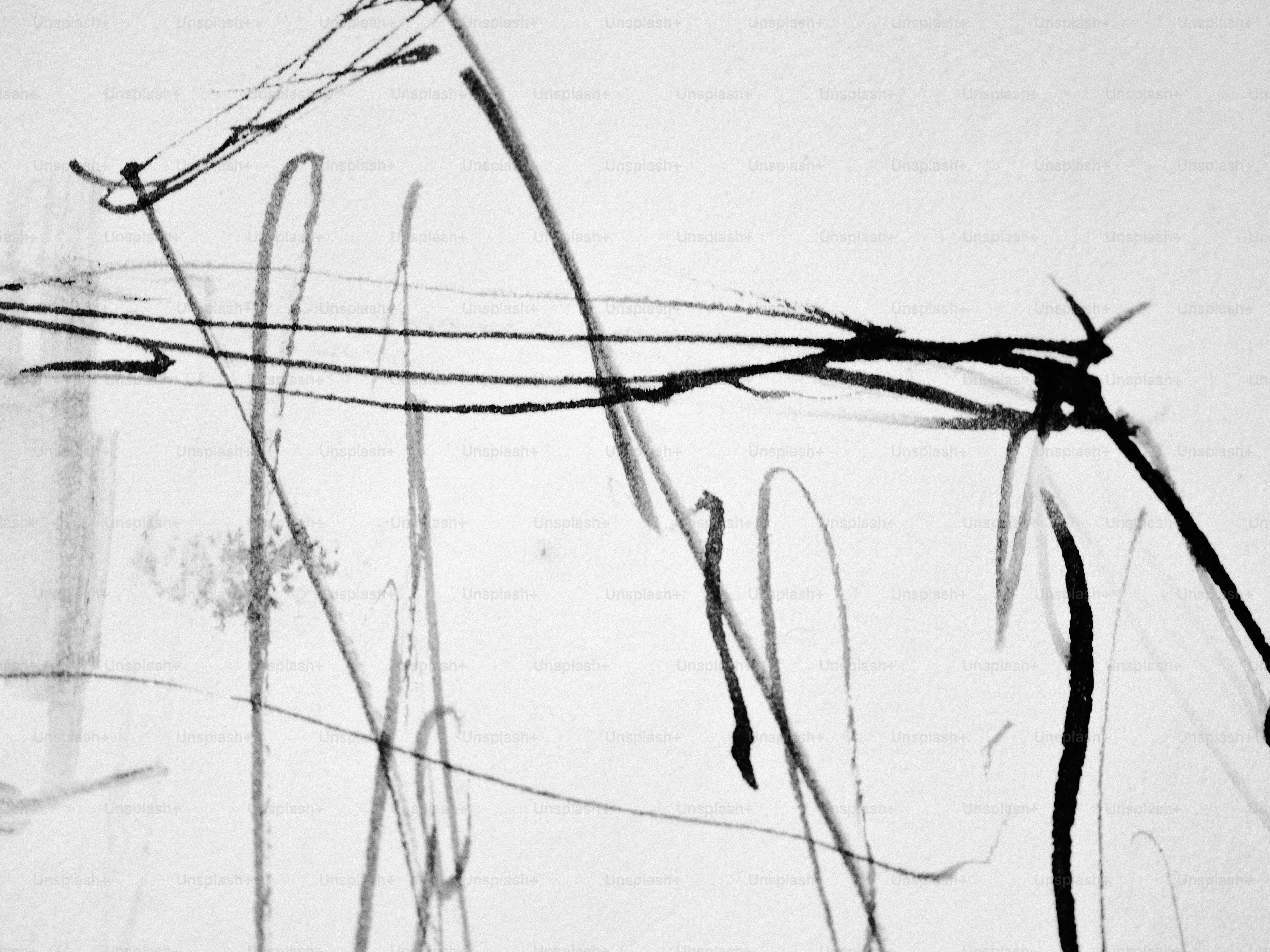 Abstract black lines against a white background.