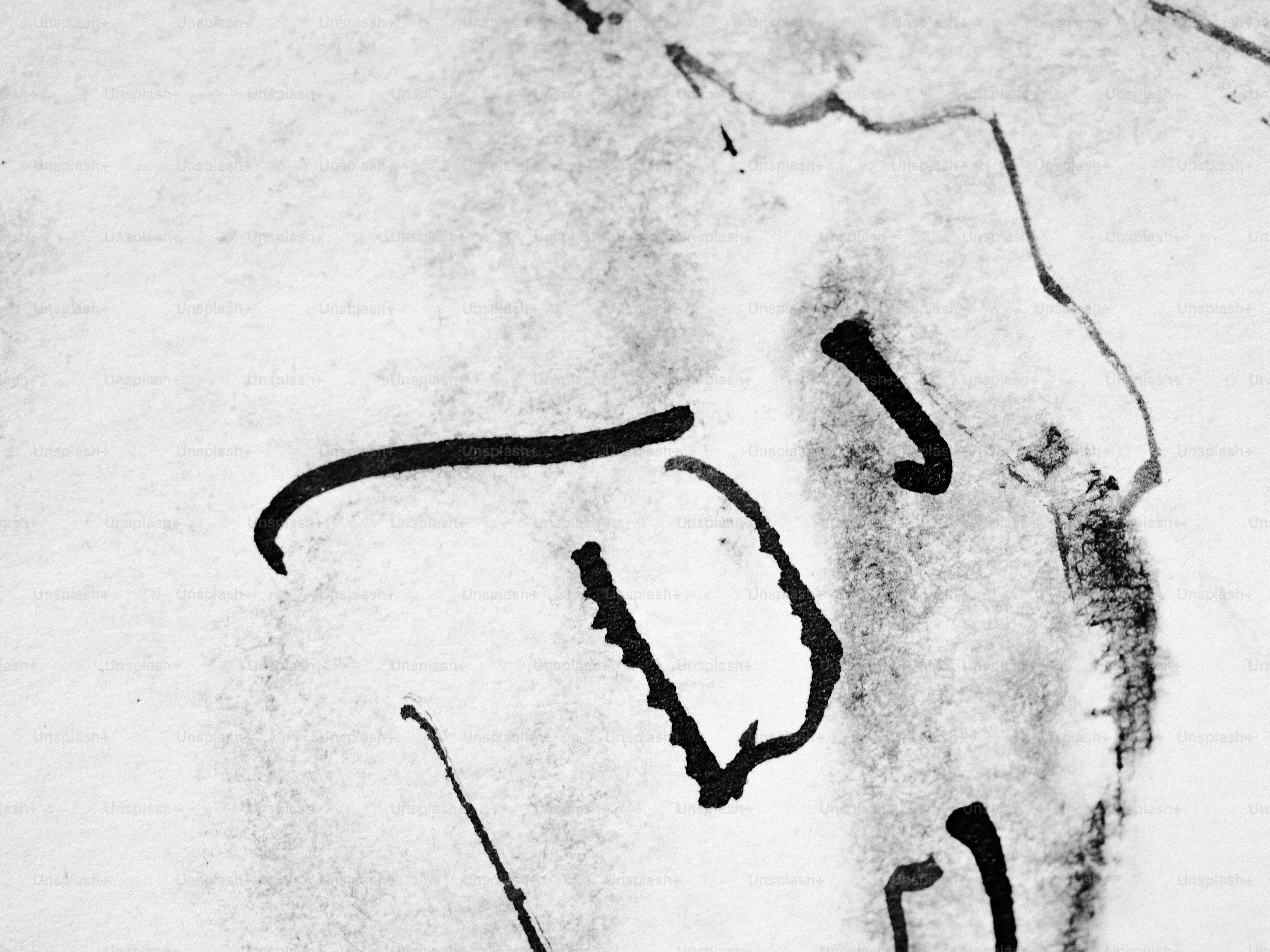 正体不明の人物の抽象的なインク画。