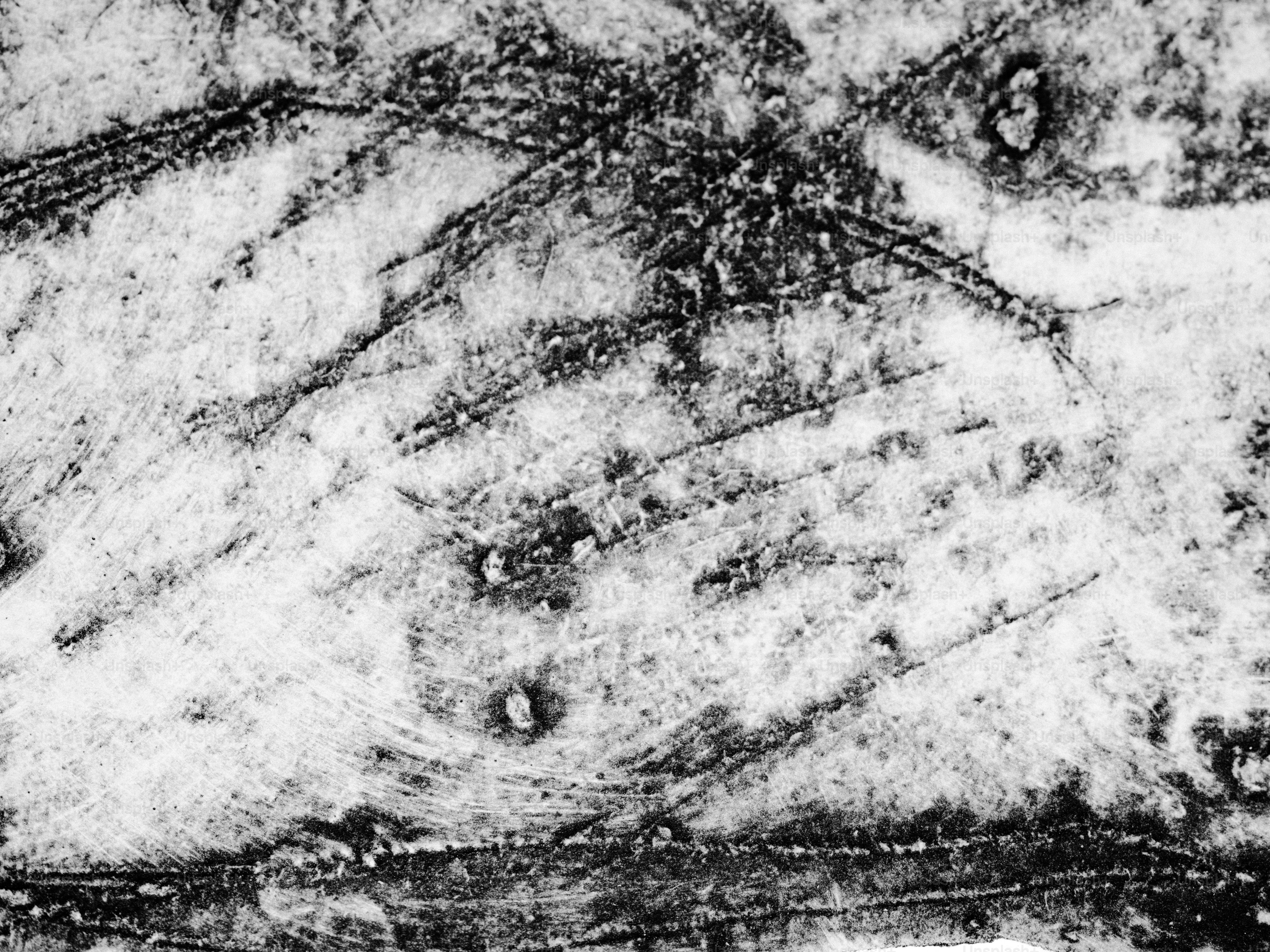 Les marques apparaissent gravées sur une surface texturée et claire.