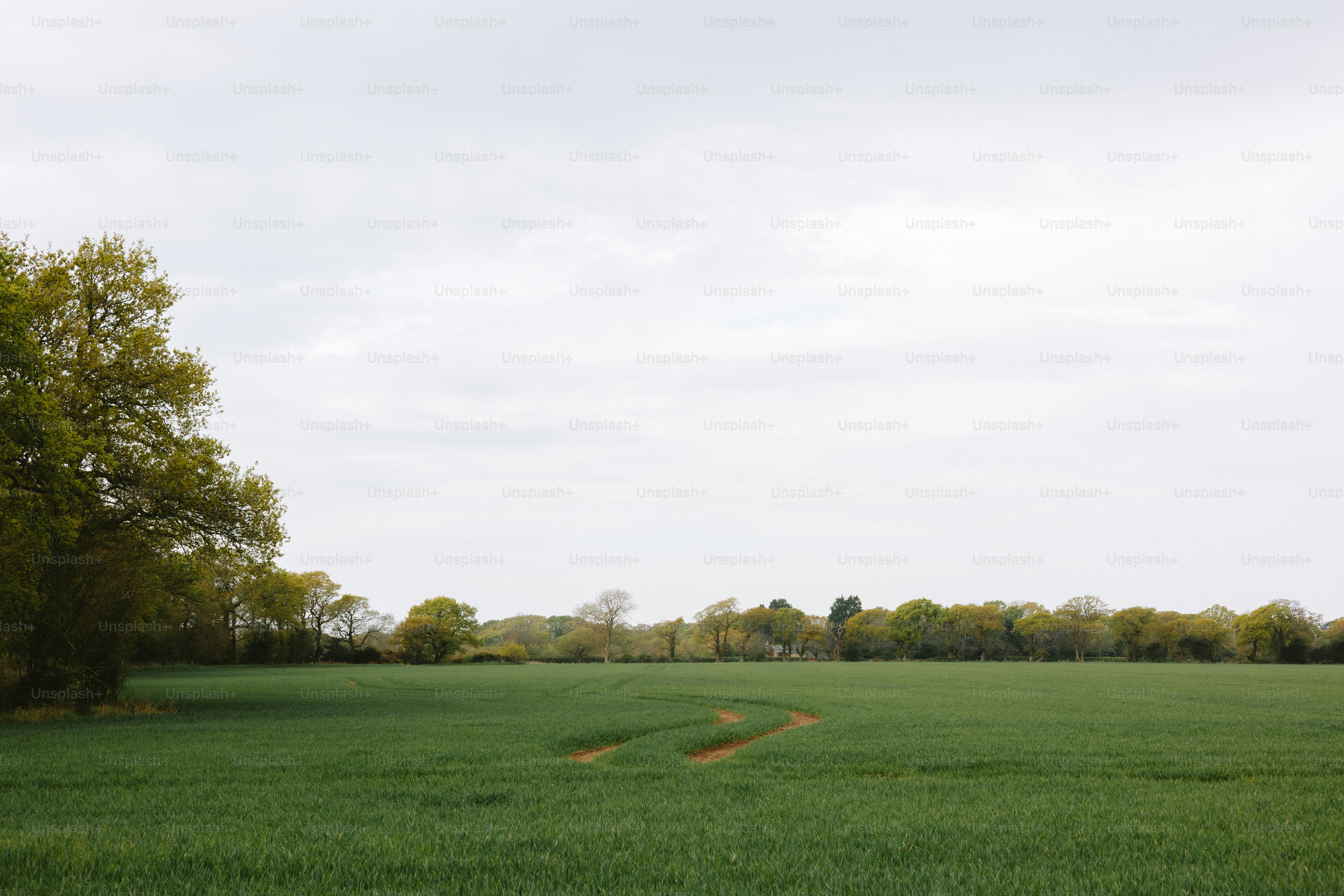 Green field beneath a cloudy sky.