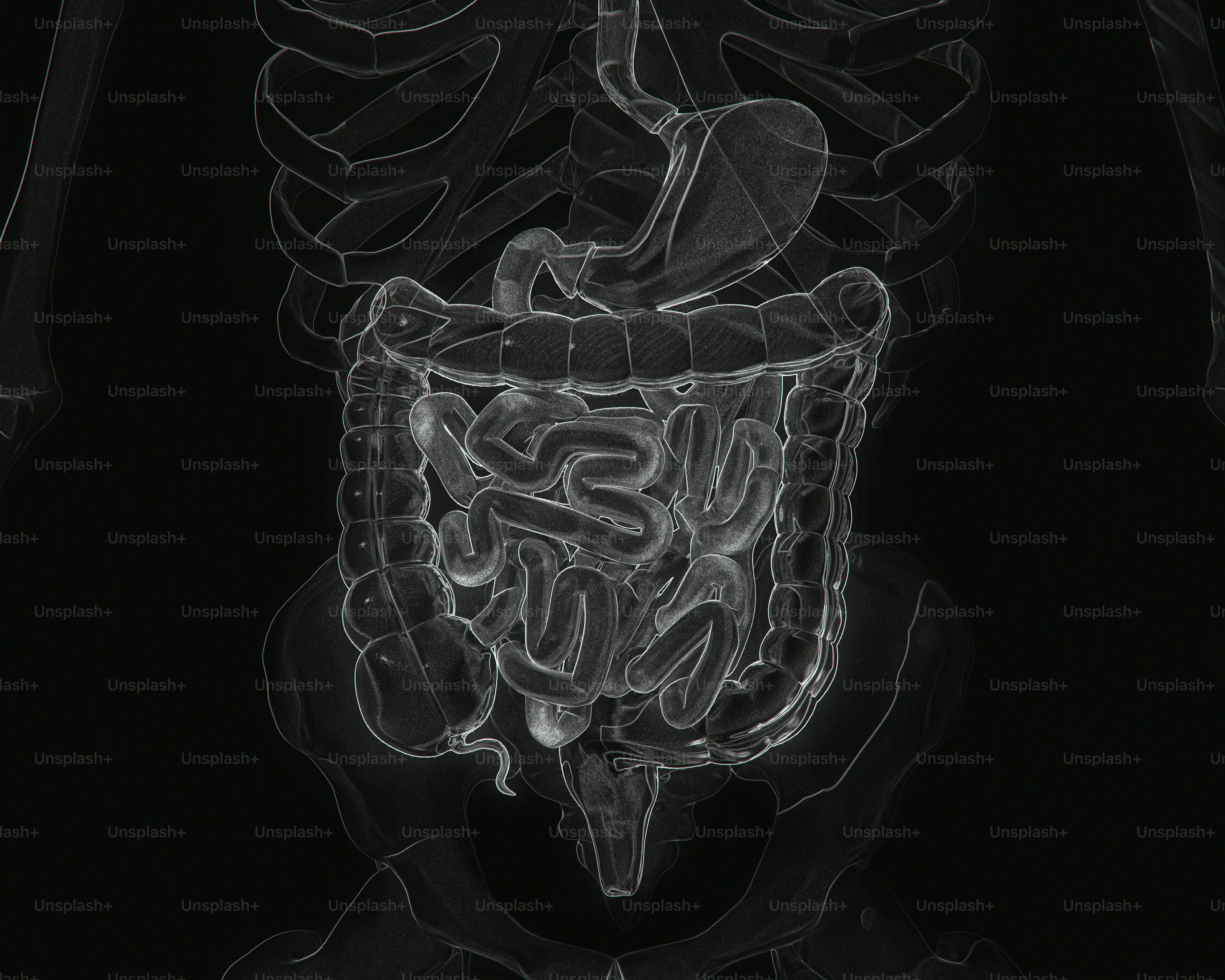 Human digestive system anatomy is visible.