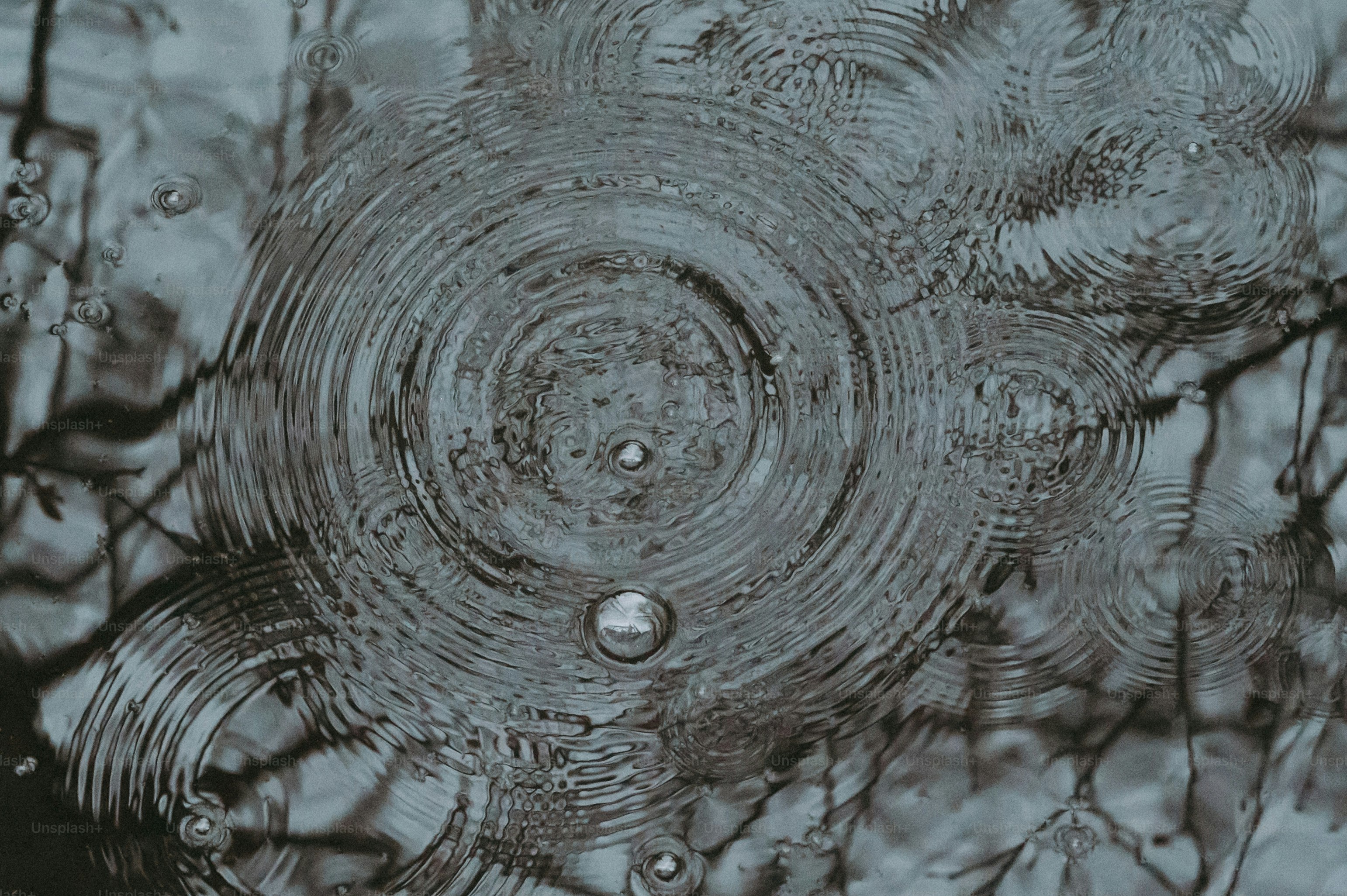 Ripples spread across a water surface. photo – Wallpaper Image on Unsplash