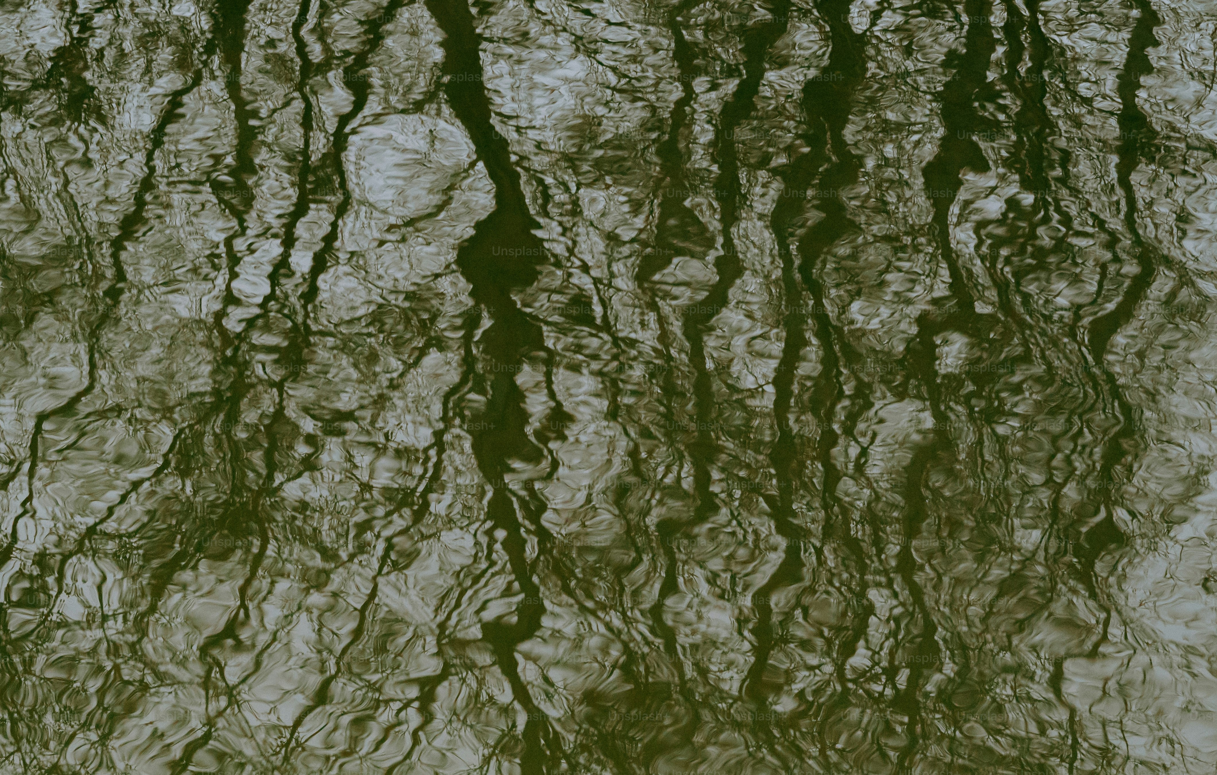 Water reflects dark vegetation, creating patterns.