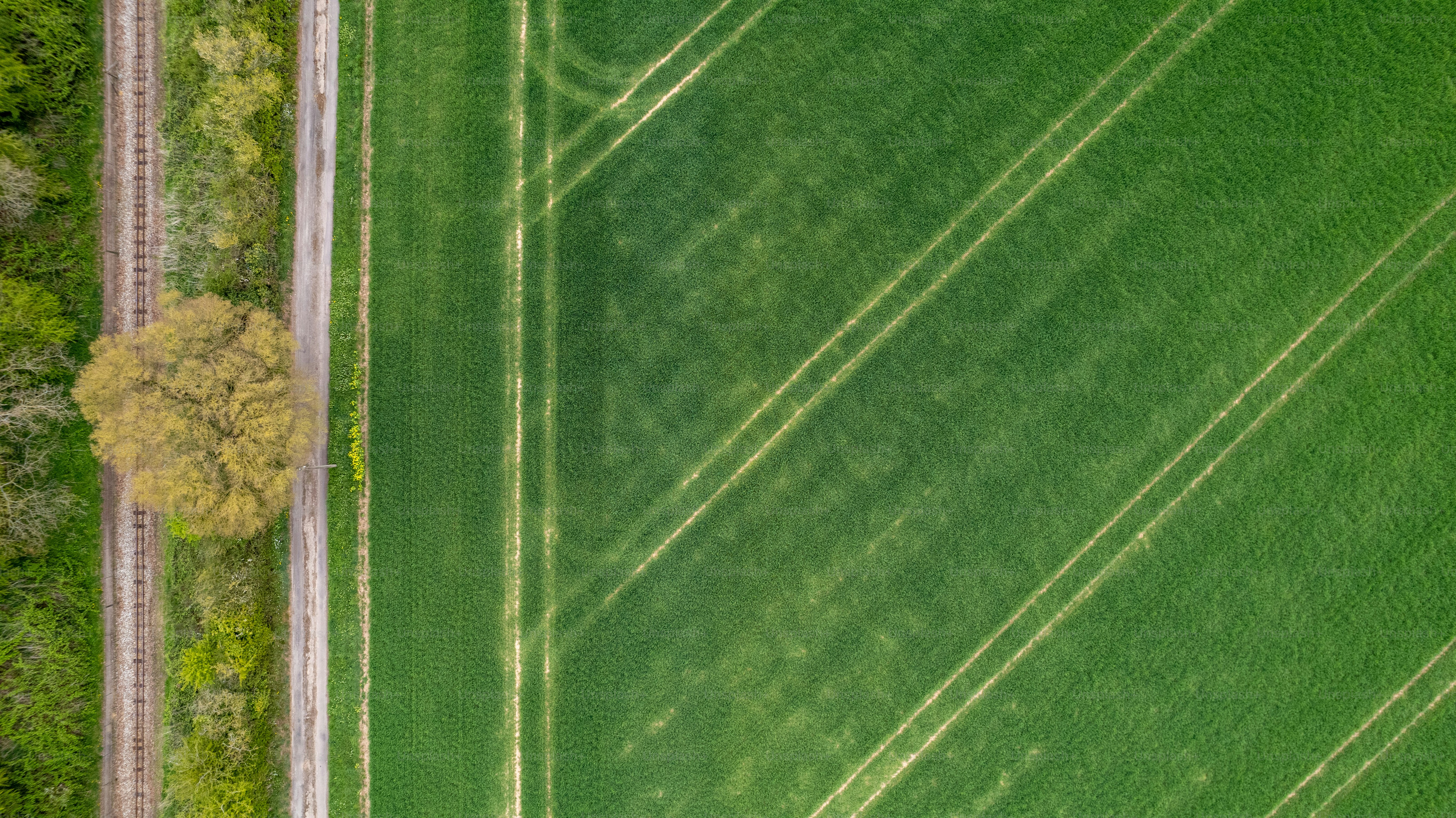An aerial view of a field and path.