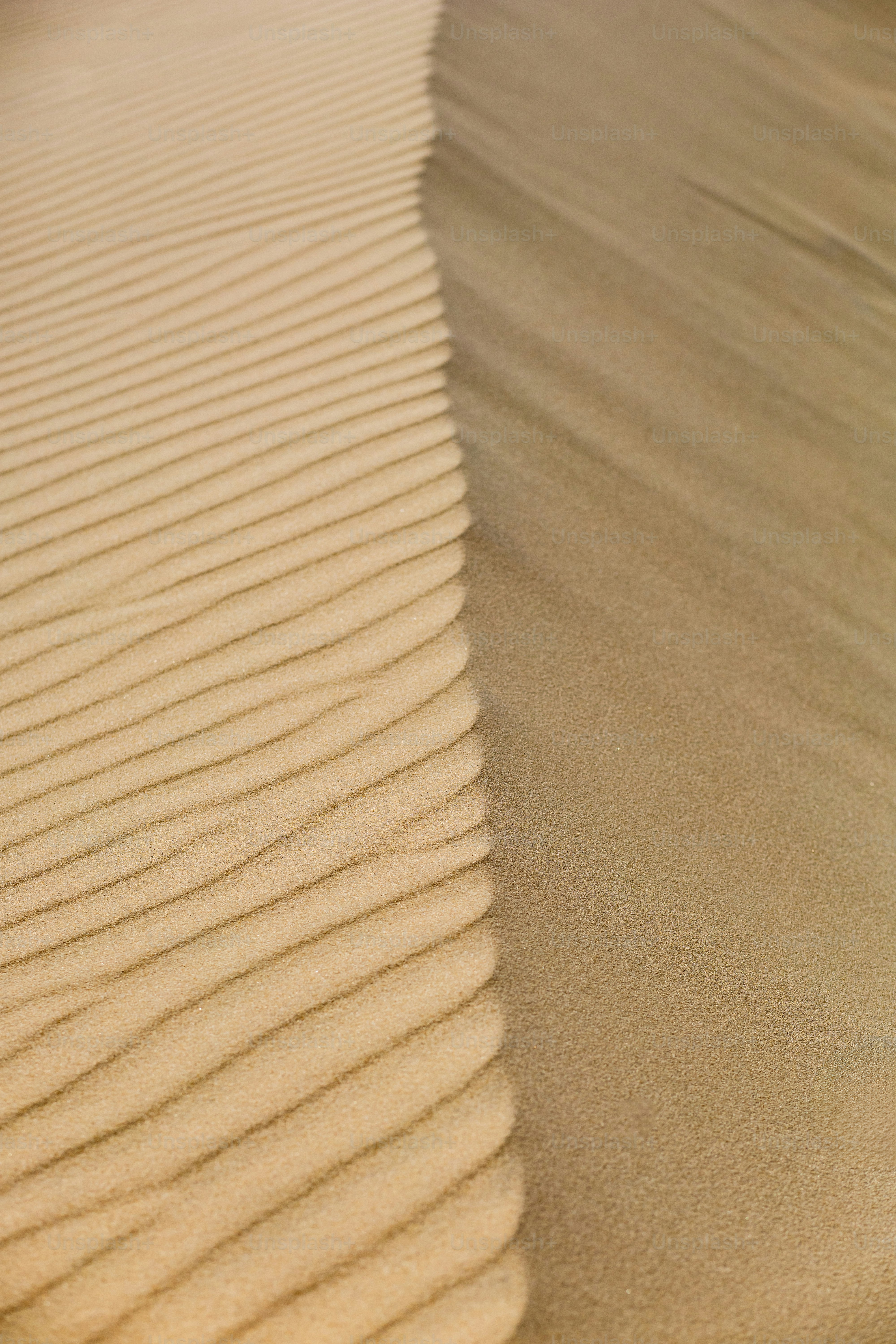 Sand dunes with beautiful lines and textures