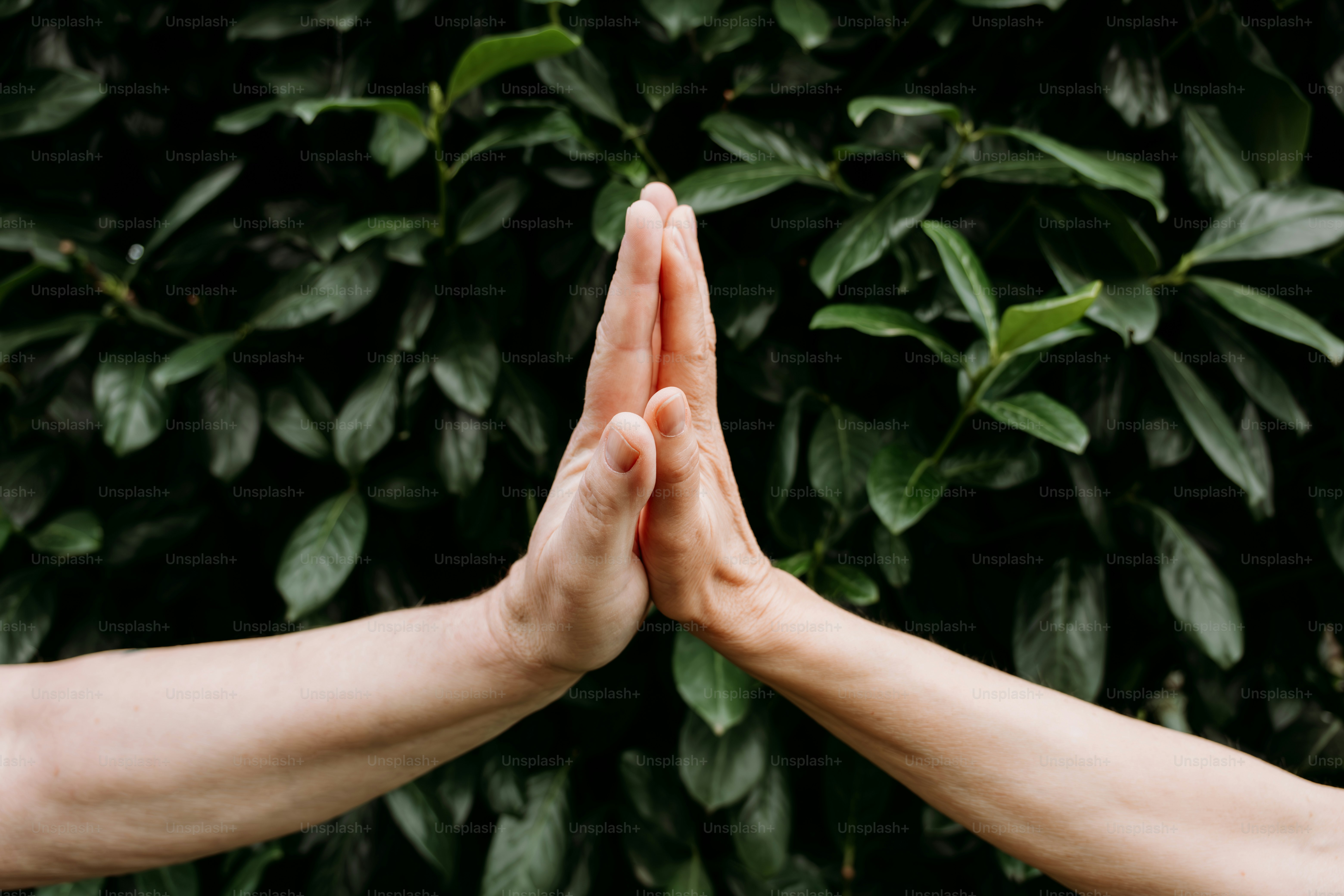 Hands come together in a high five. photo – Hands Image on Unsplash, image size:3000x2000