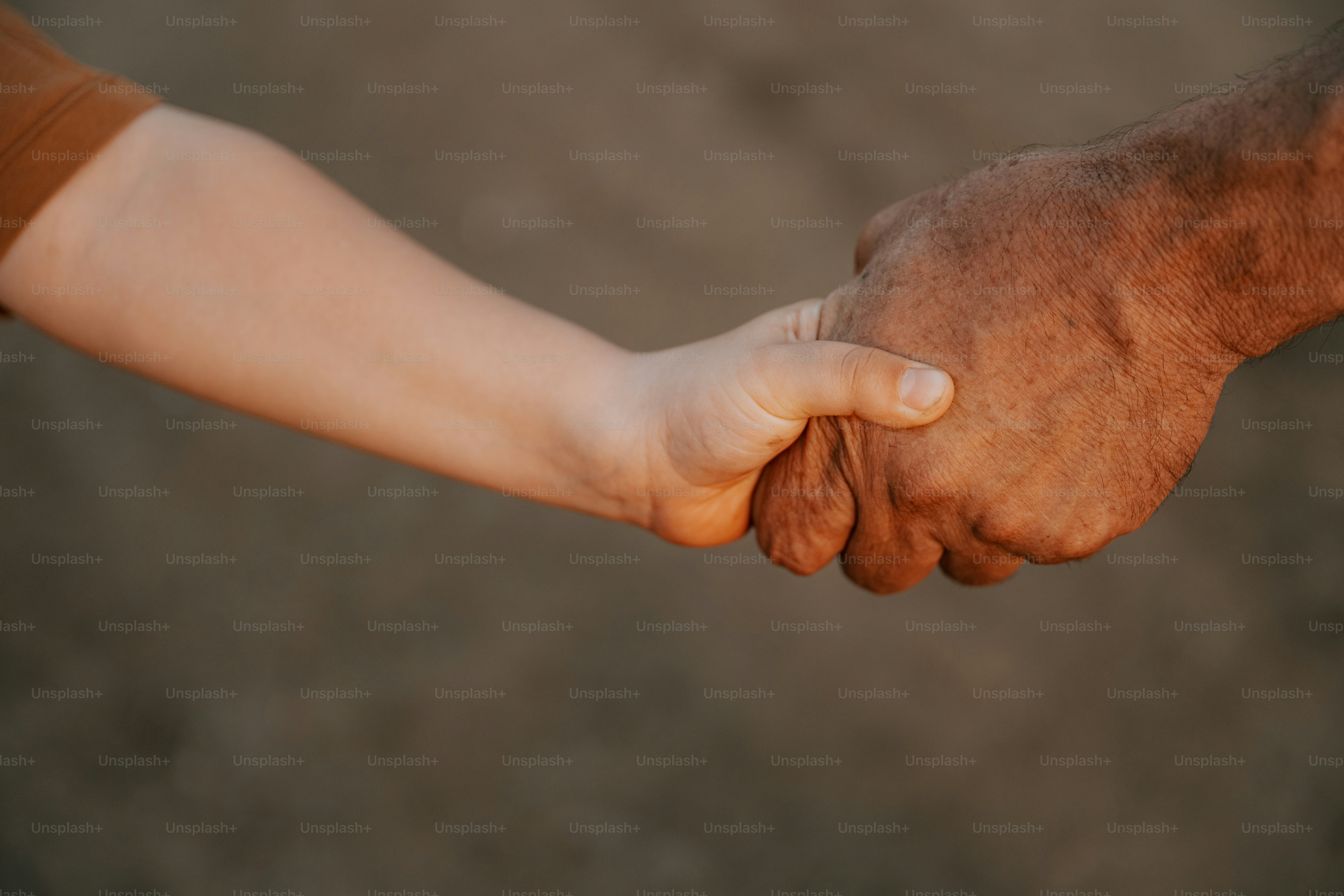 Un niño sostiene la mano de una persona mayor.