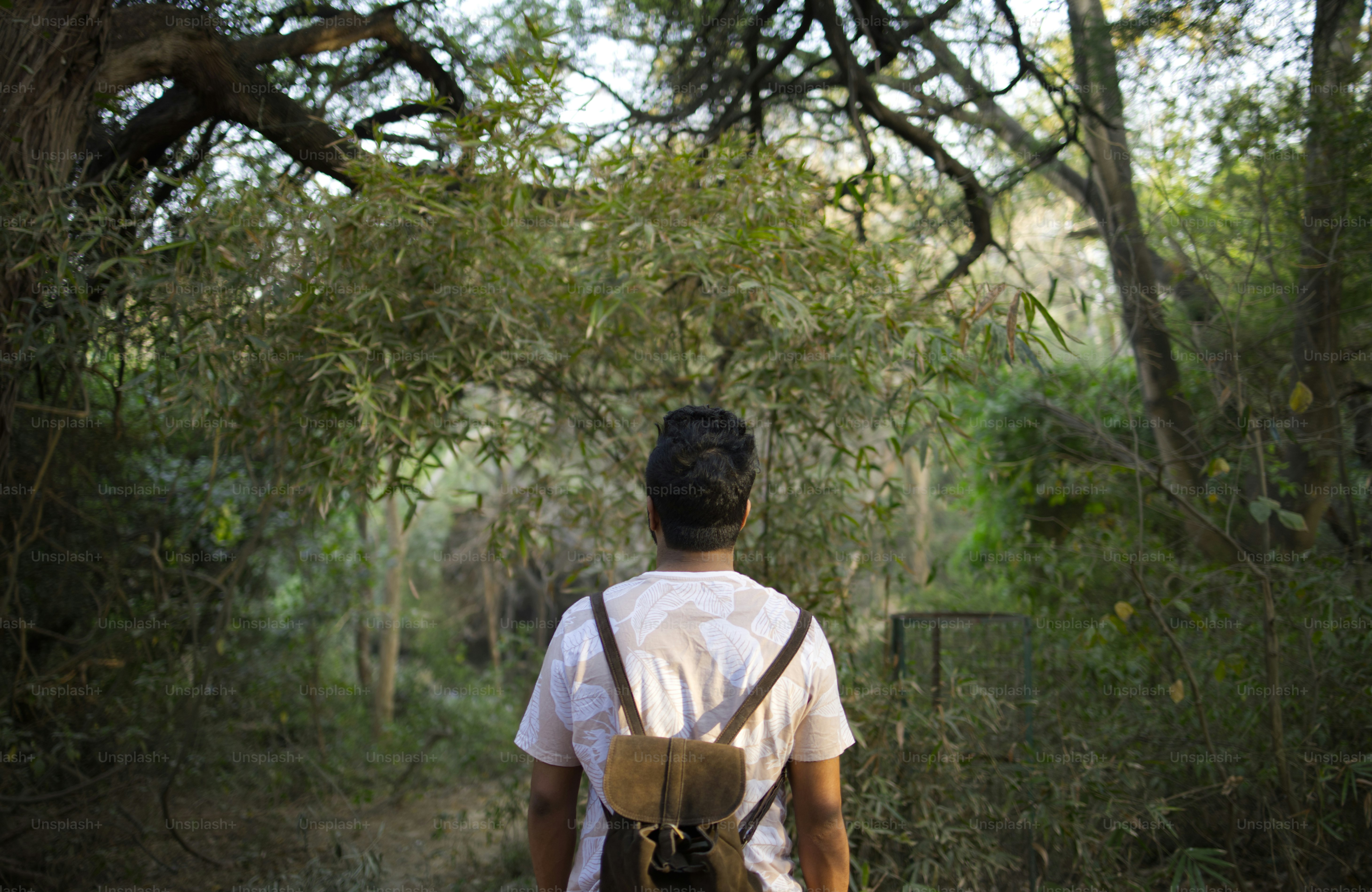 Man hikes through a lush, green forest.
