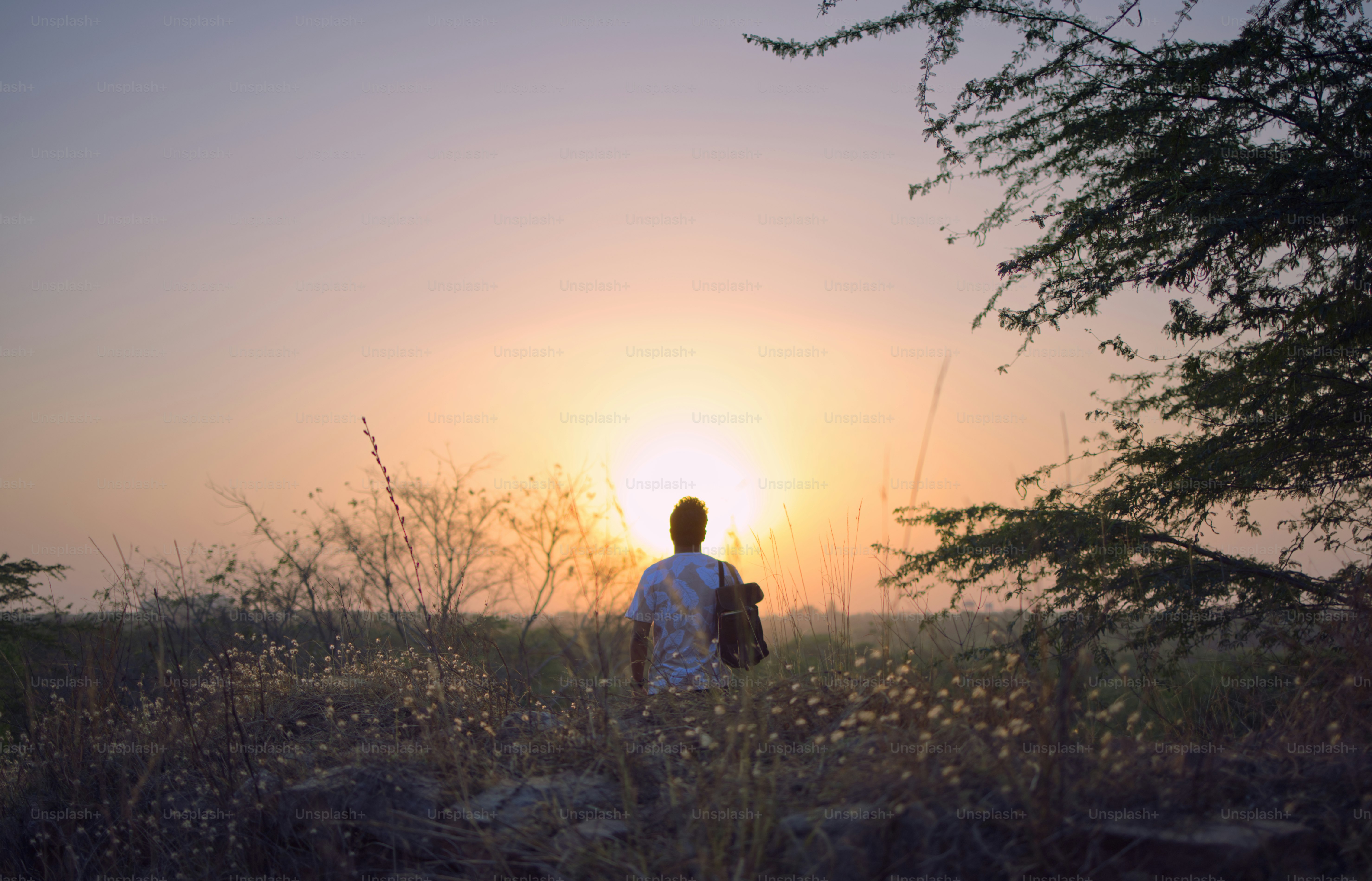 A person sits watching the sunset.
