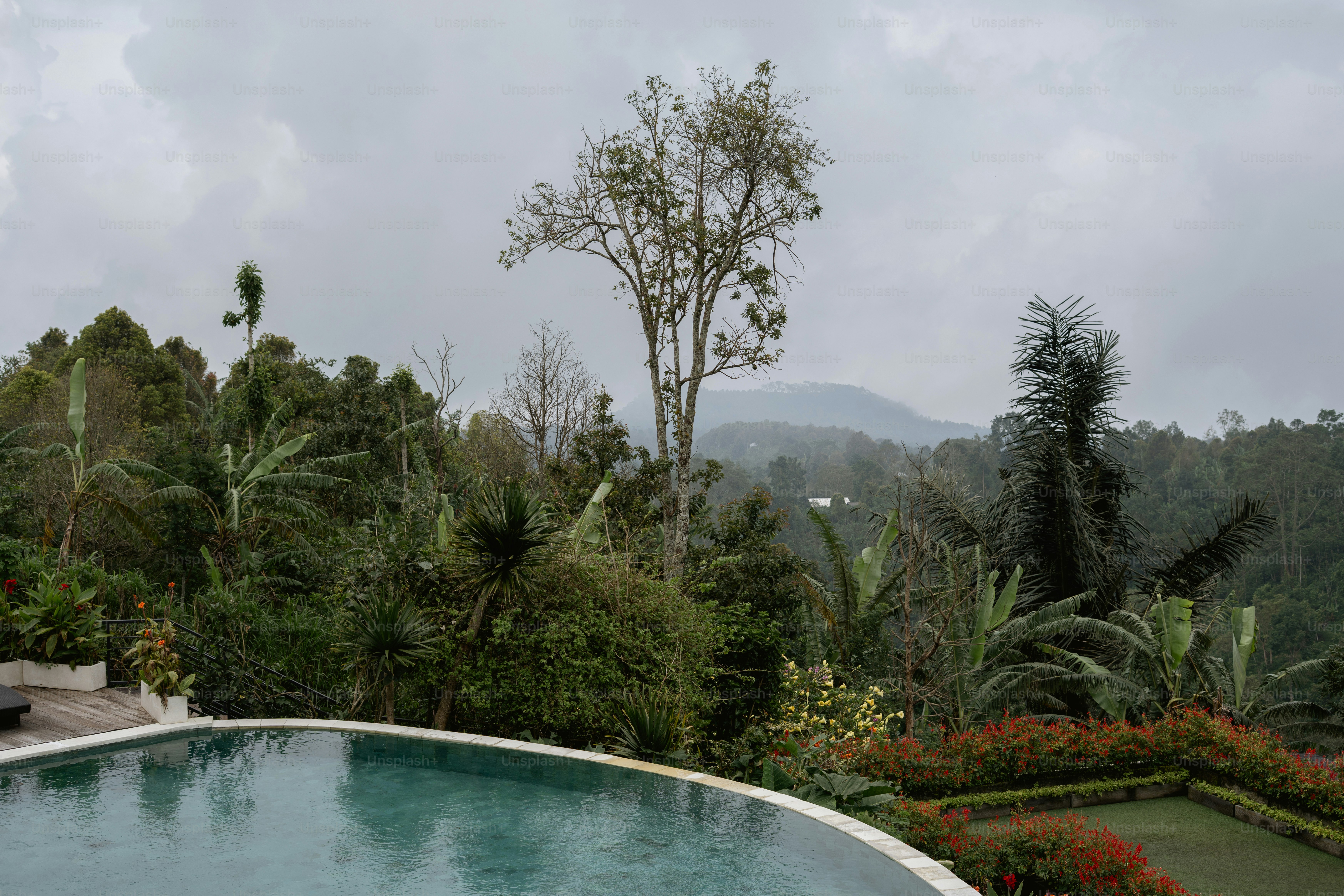 Monsoon Rain in India